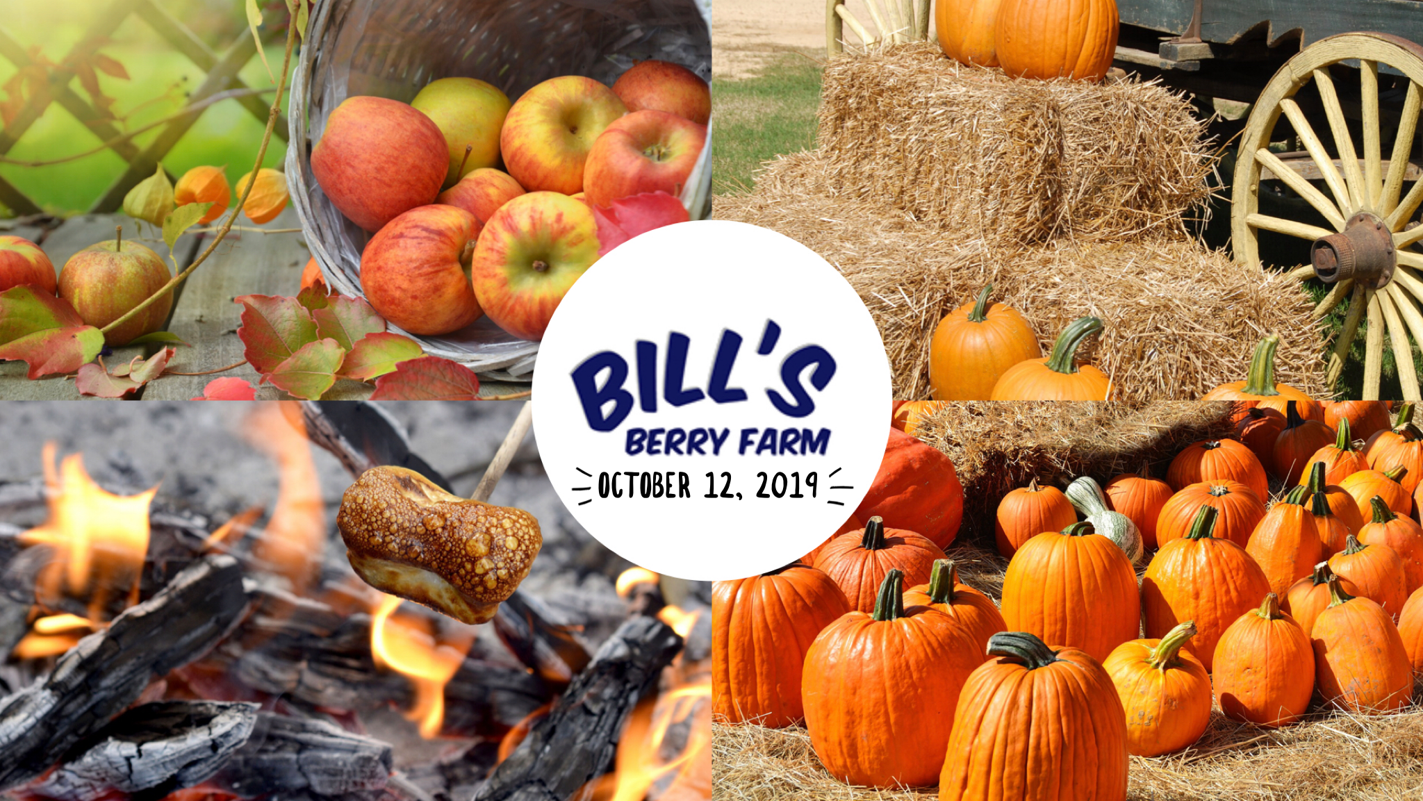 Bill’s Berry Farm Annual Family Fun