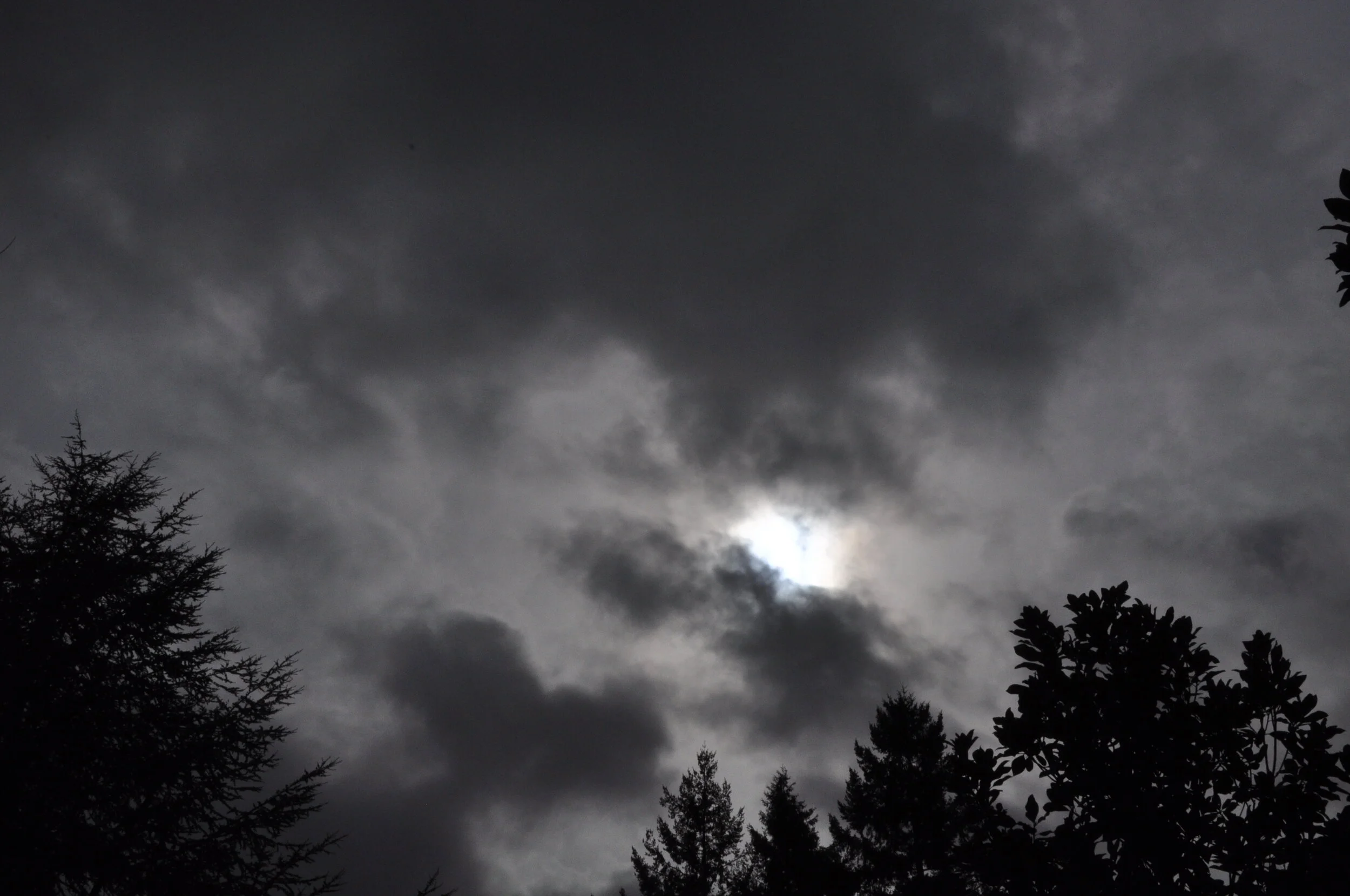 A Study in Purity - Part 3