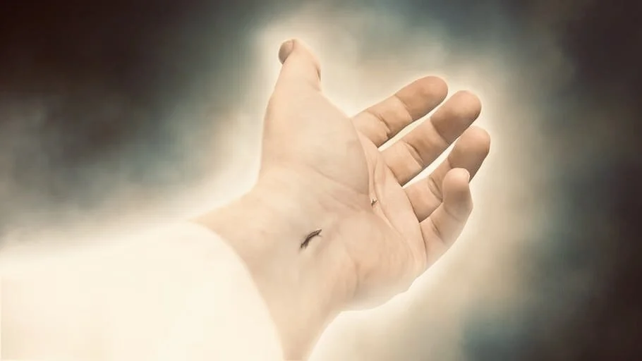 For the Joy Set Before Him