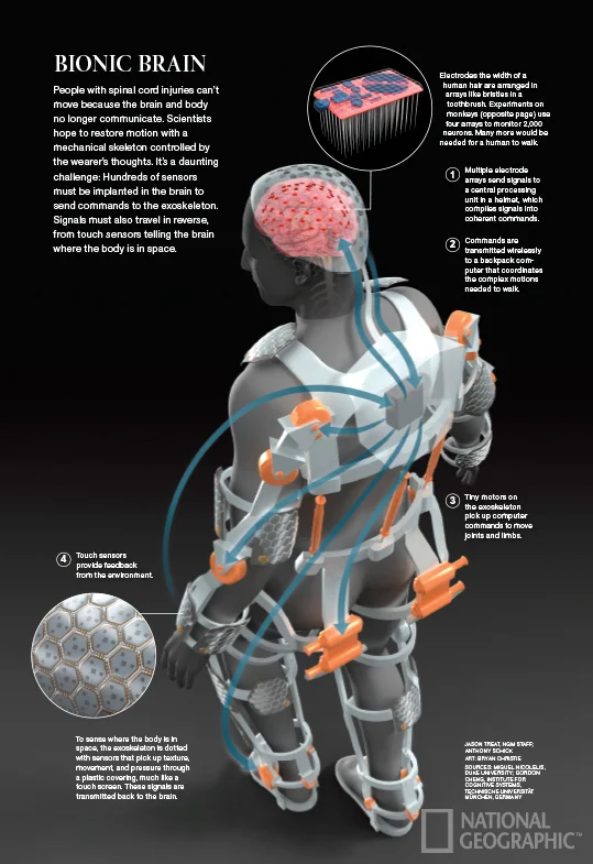 0214_brain_exoskeleton.jpg