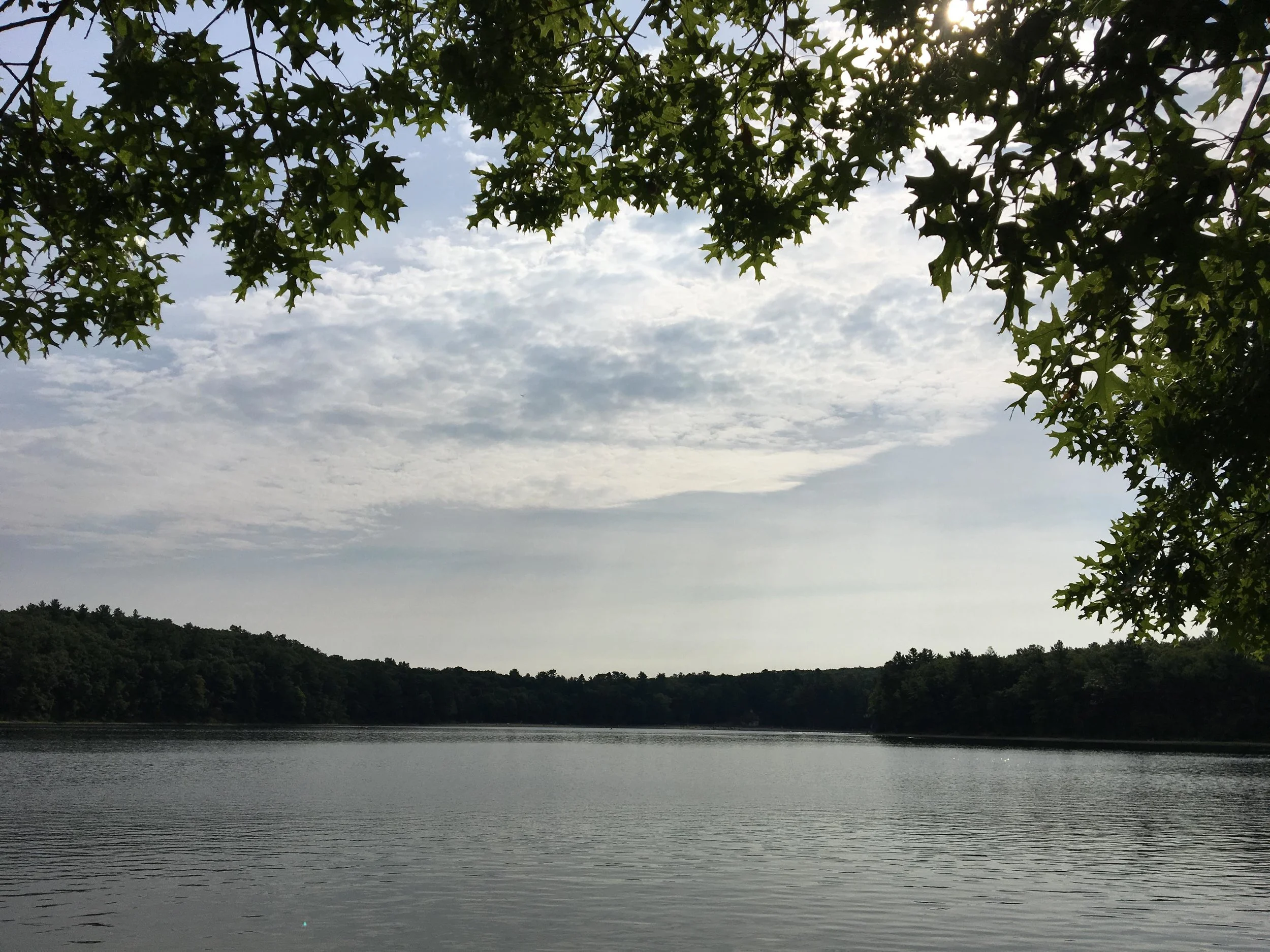 thoreau-annual-gathering-walden.JPG