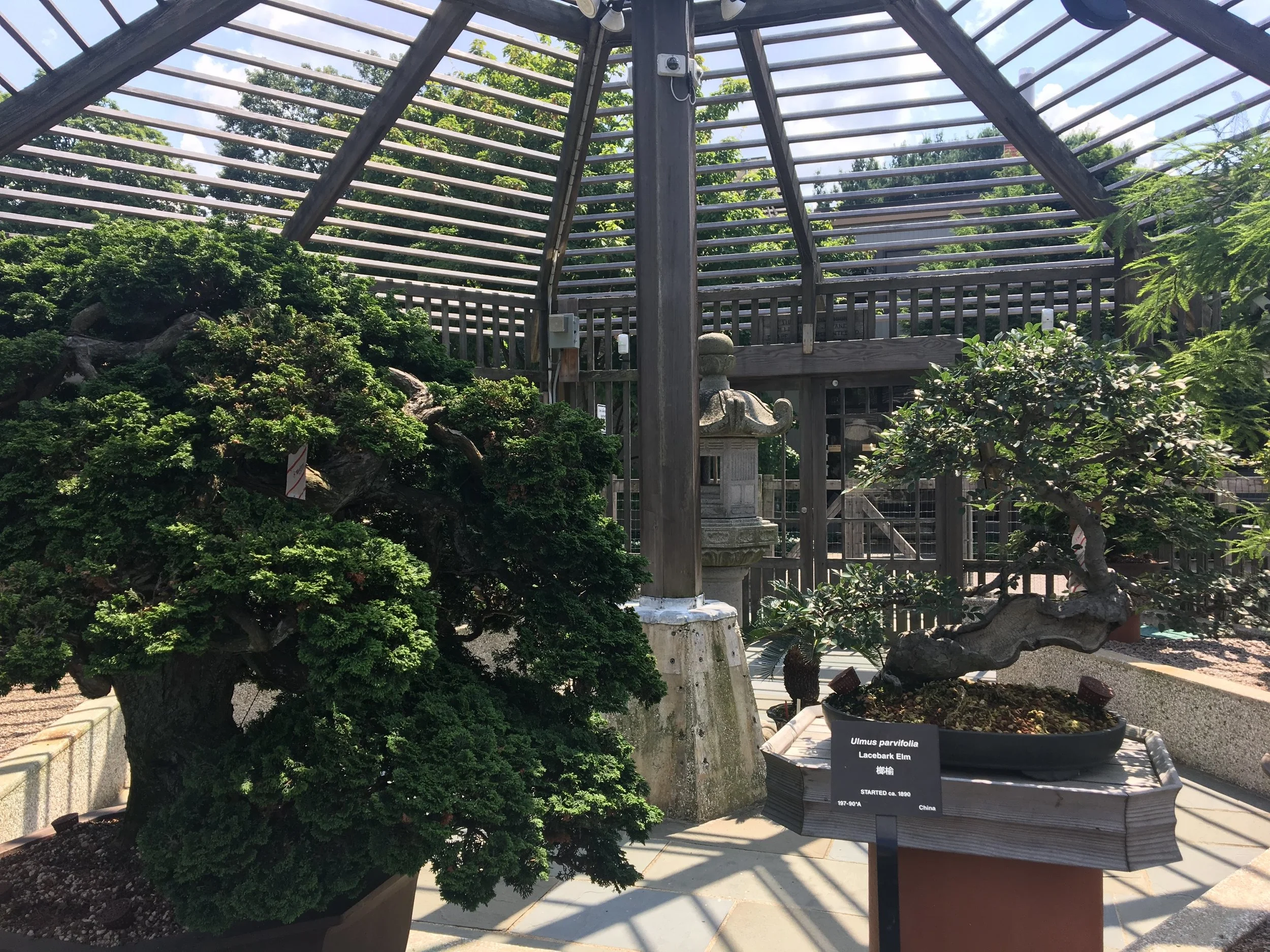 Arnold Arboretum of Harvard University