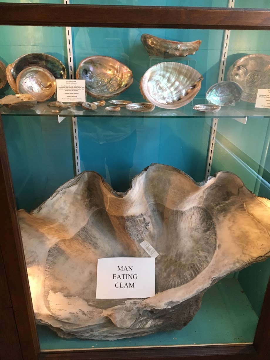 woodman-museum-man-eating-clam.jpg