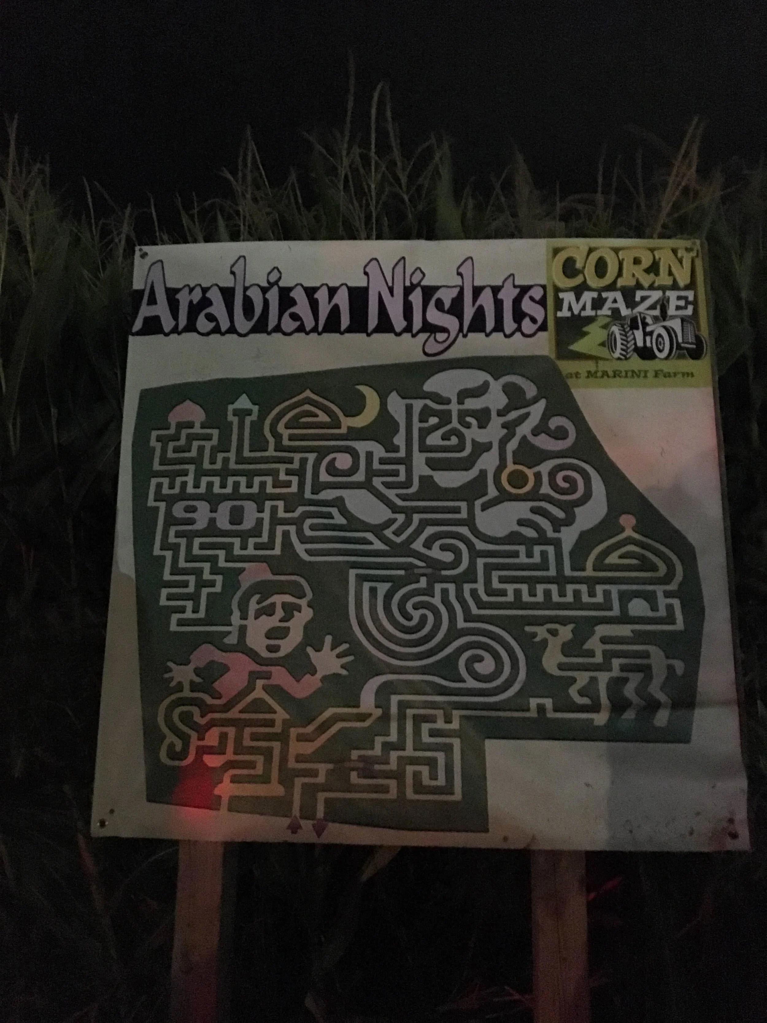 Flashlight Corn Maze @ Marini Farm