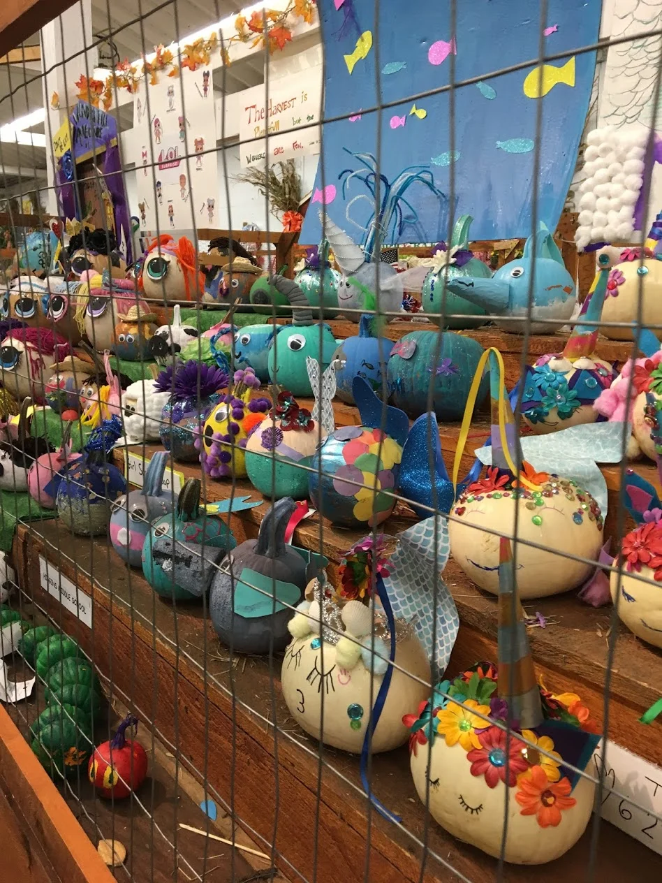 topsfield-fair-pumpkins.JPG
