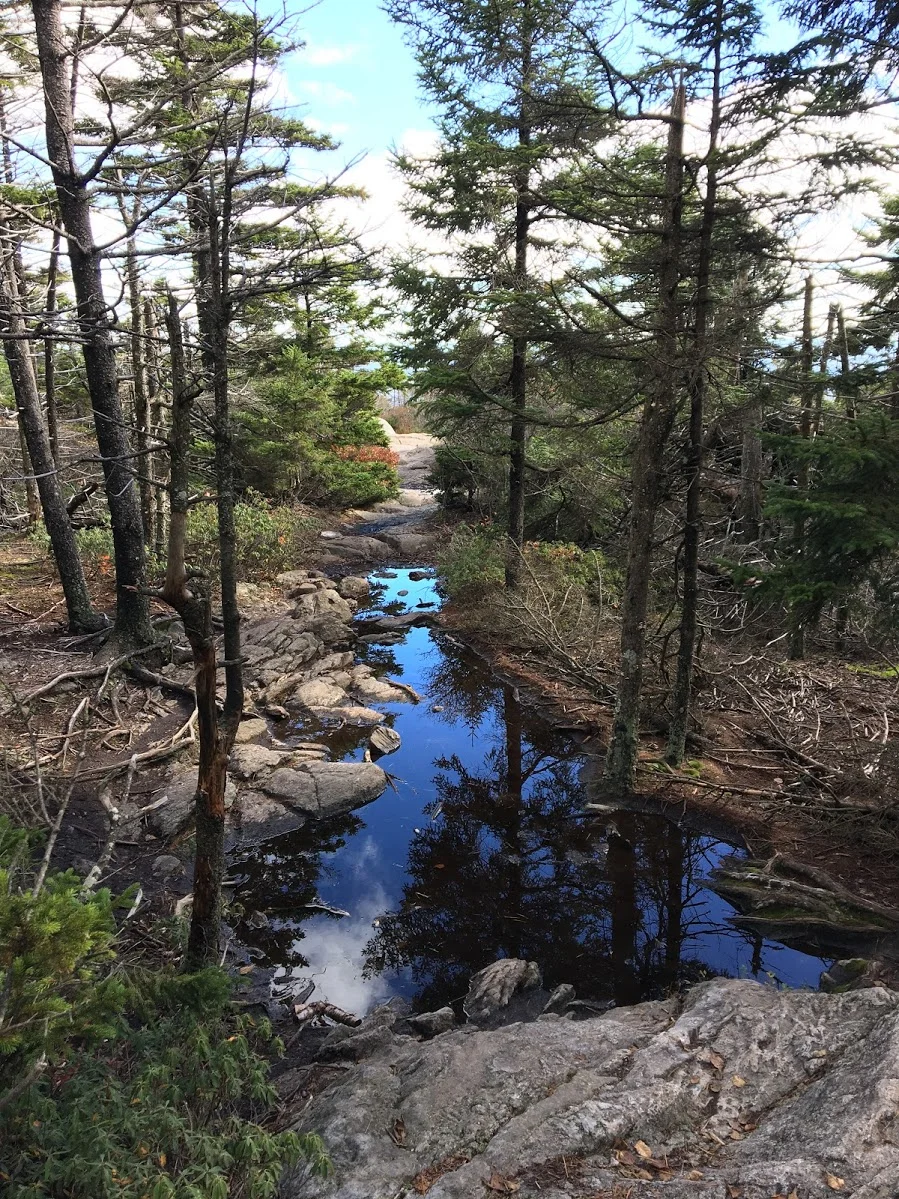 mount-monadnock-pond.JPG