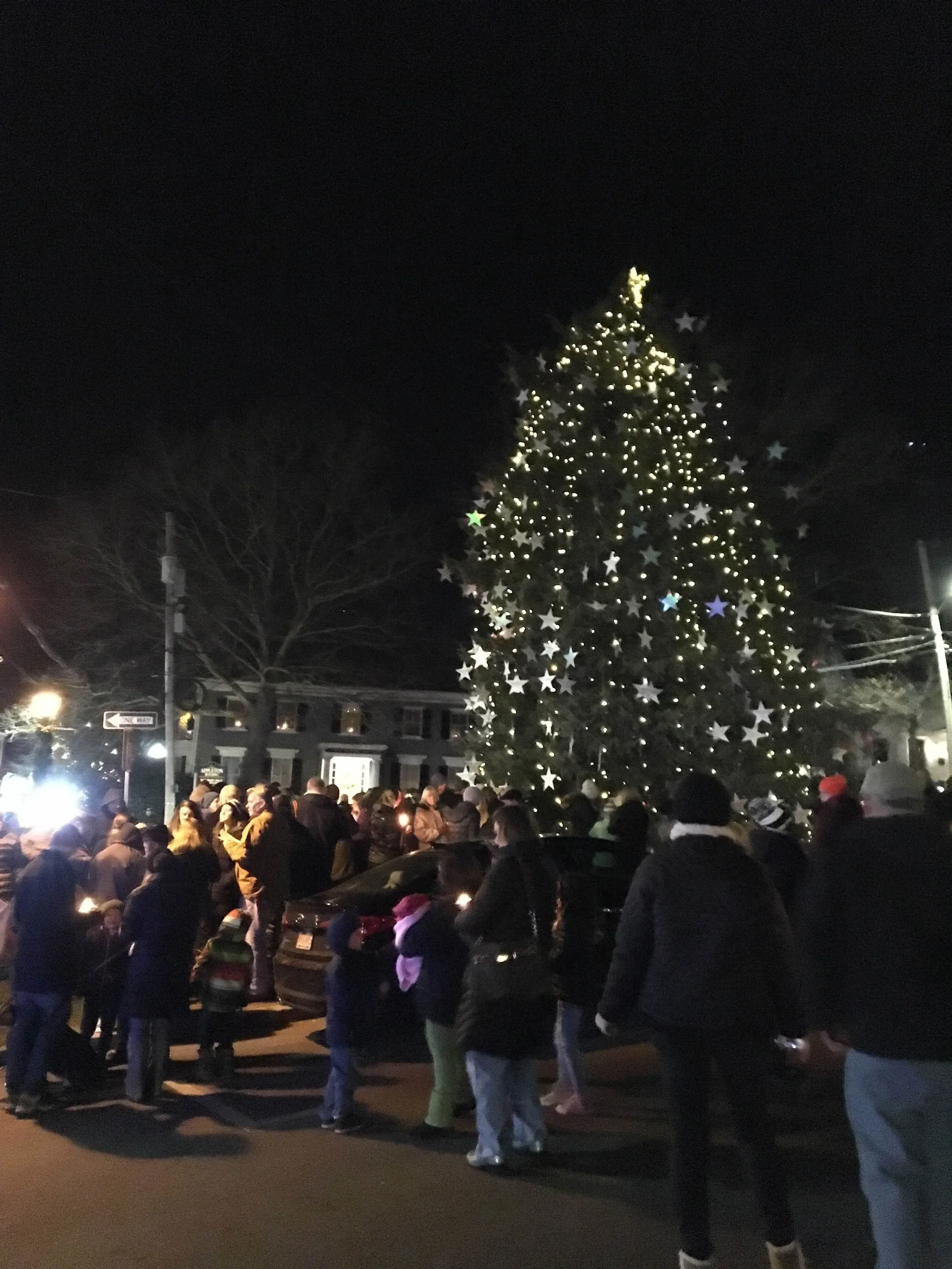 Ipswich Memory Tree Lighting