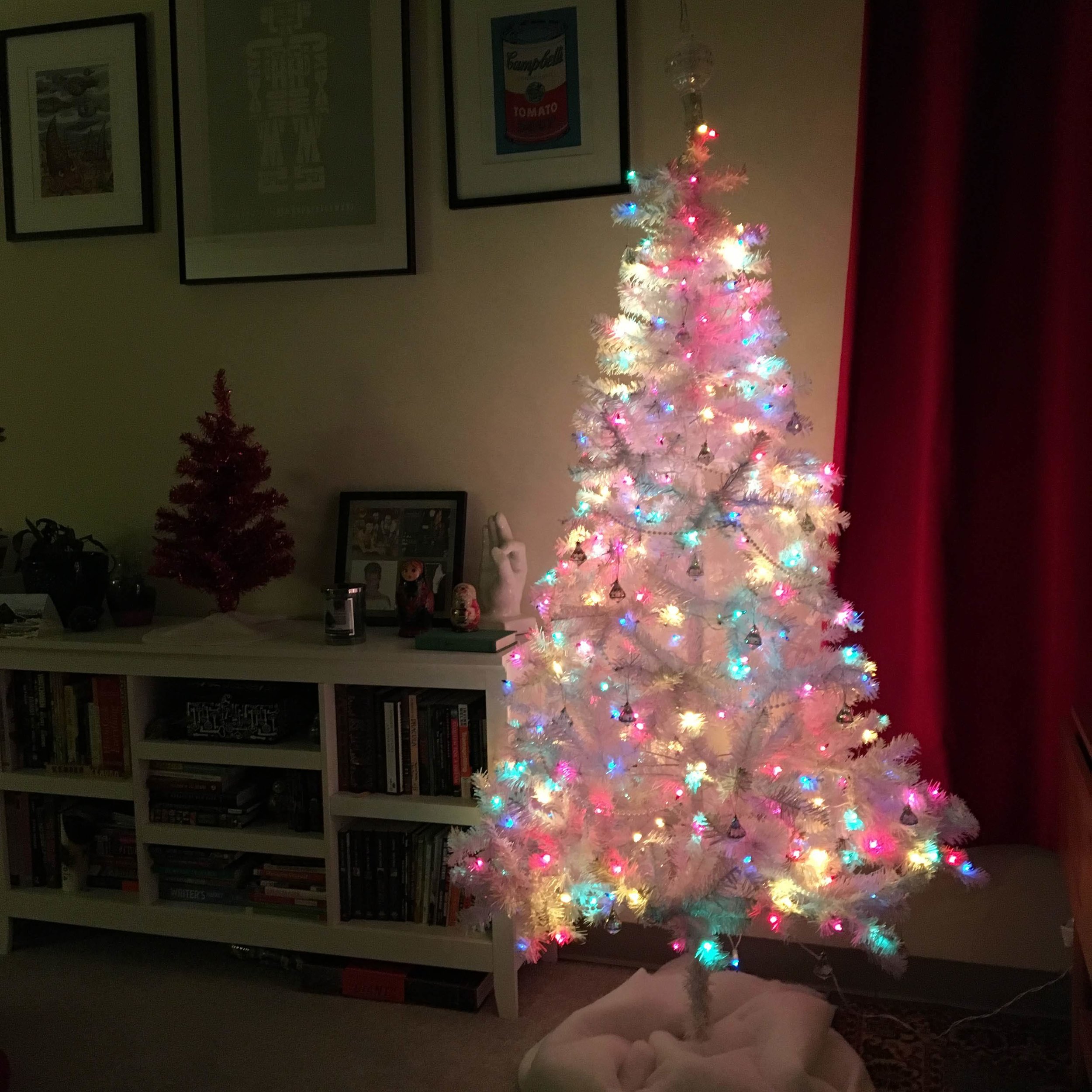 I Won a Christmas Tree! 