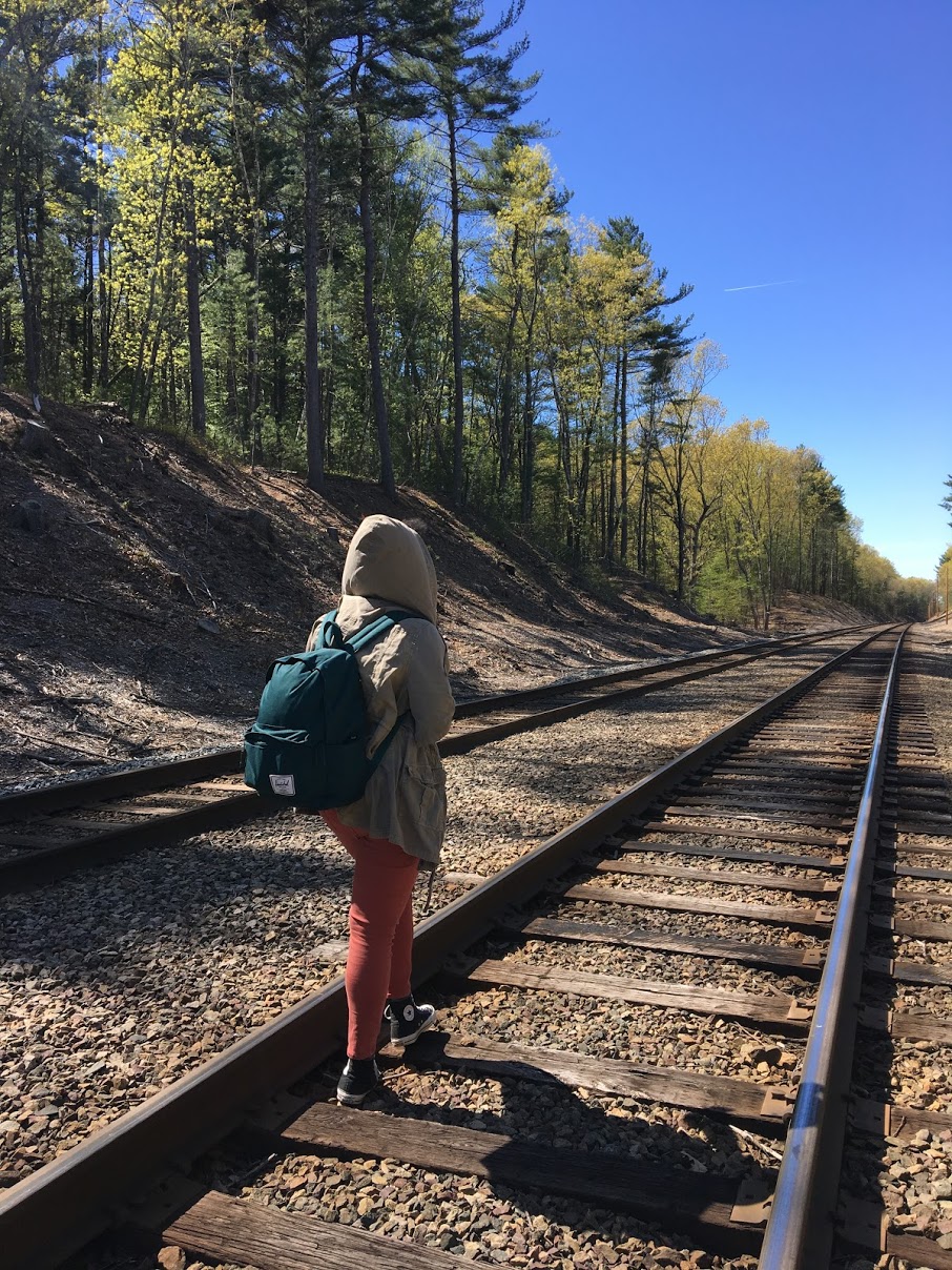 walden-pond-railroad-tracks.JPG