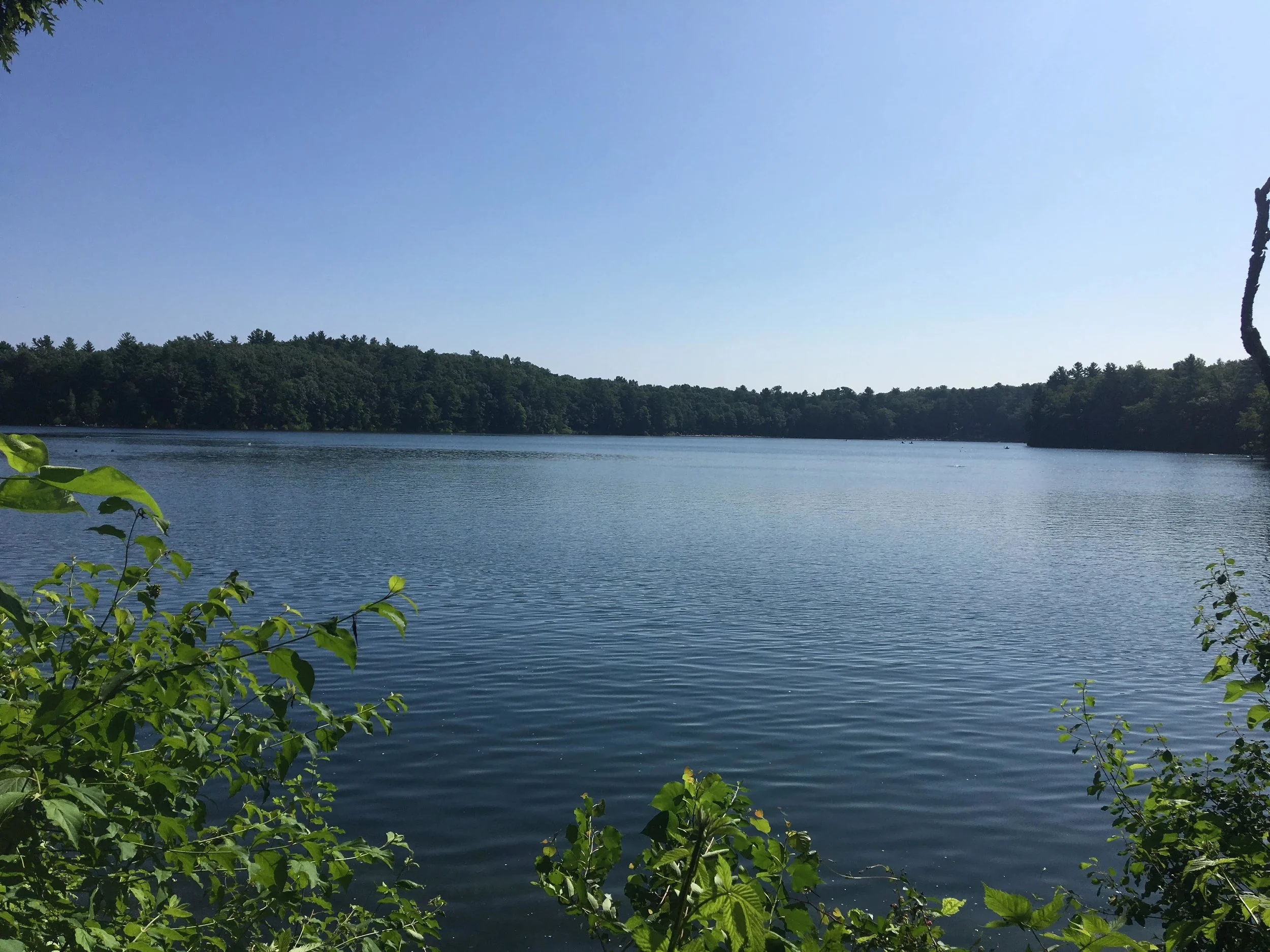 Thoreau Society Annual Gathering 2019 