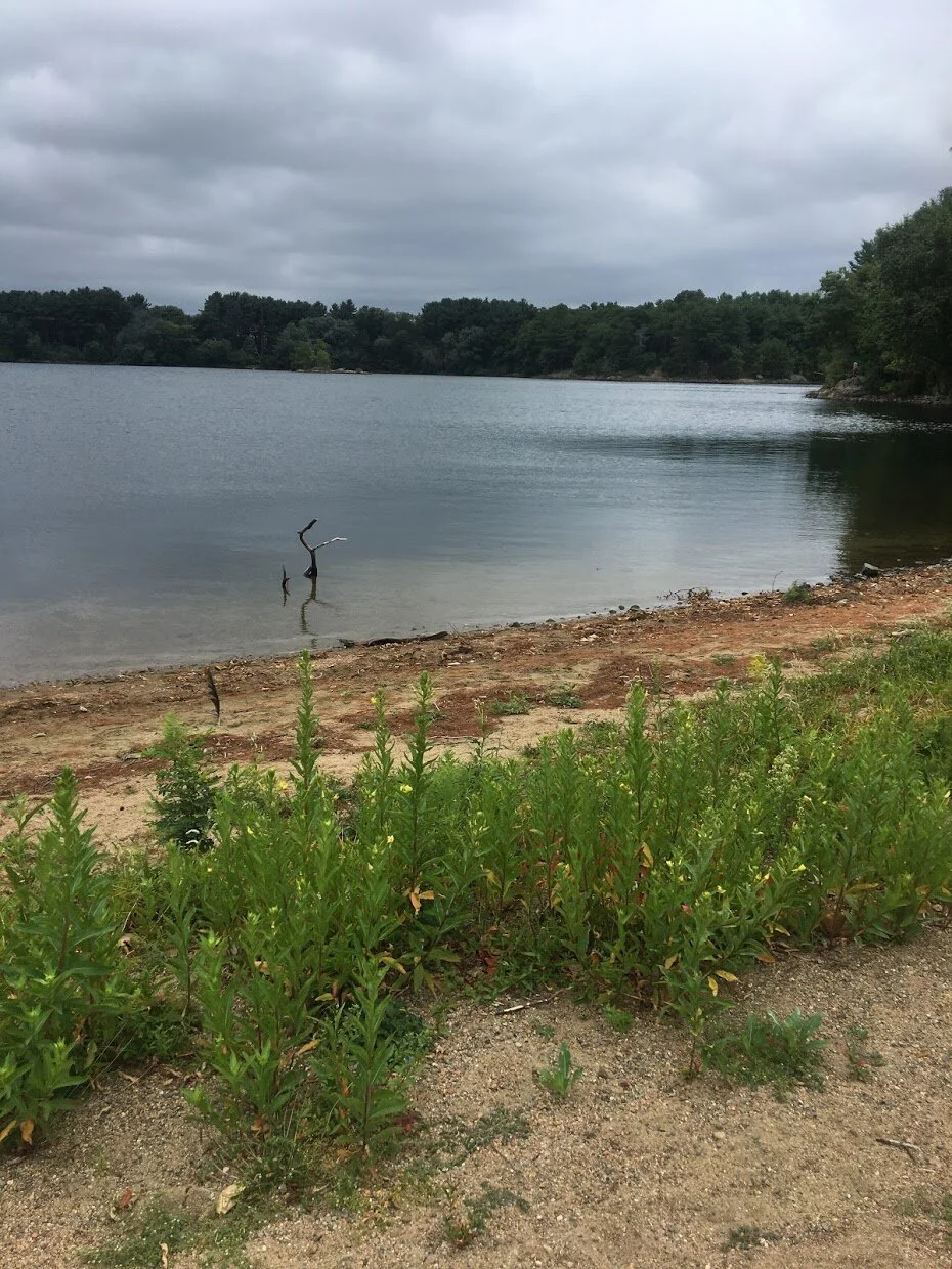 Spot Pond at Middlesex Fells Reservation 