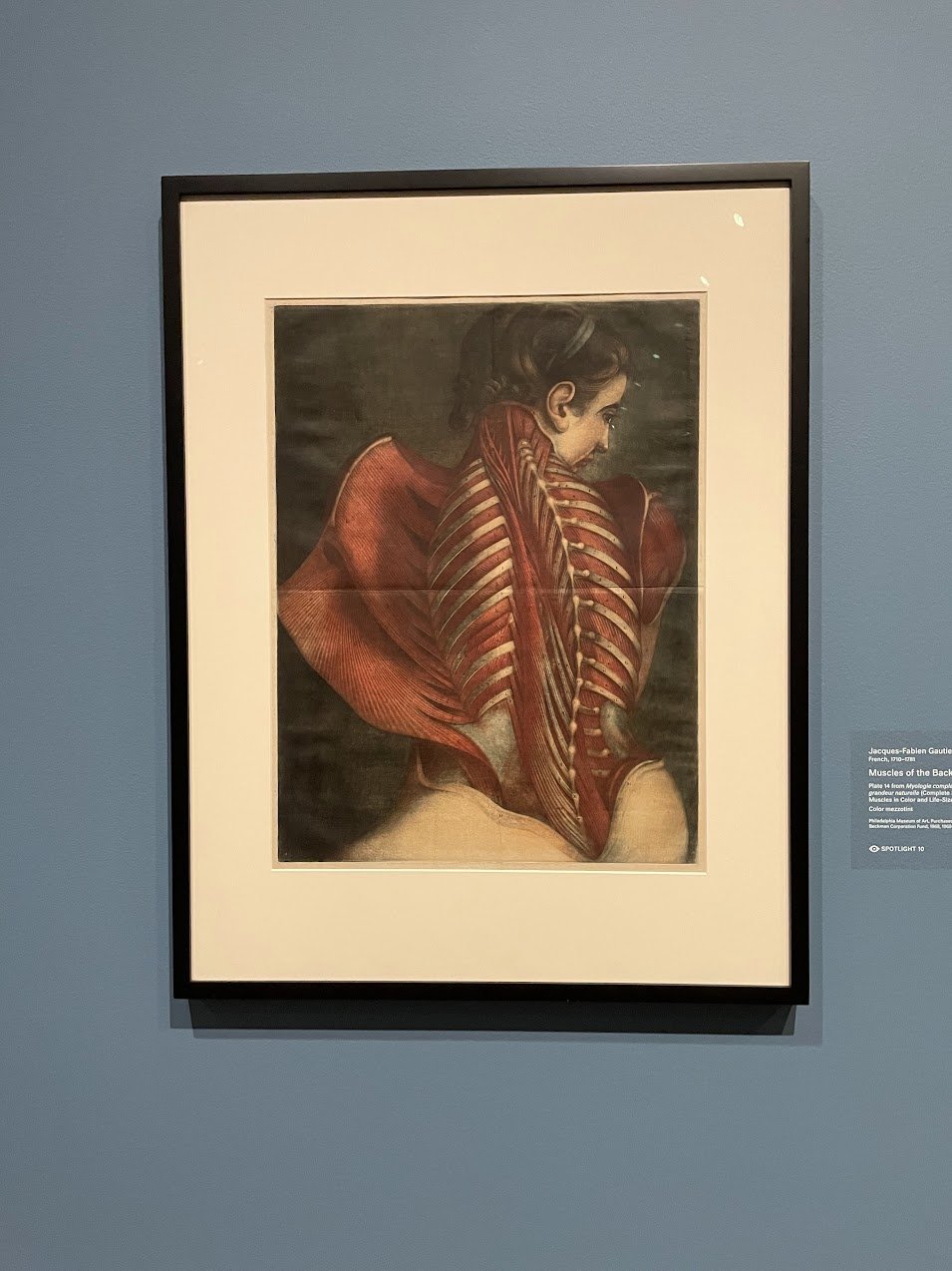 Dare to Know @ Harvard Art Museums