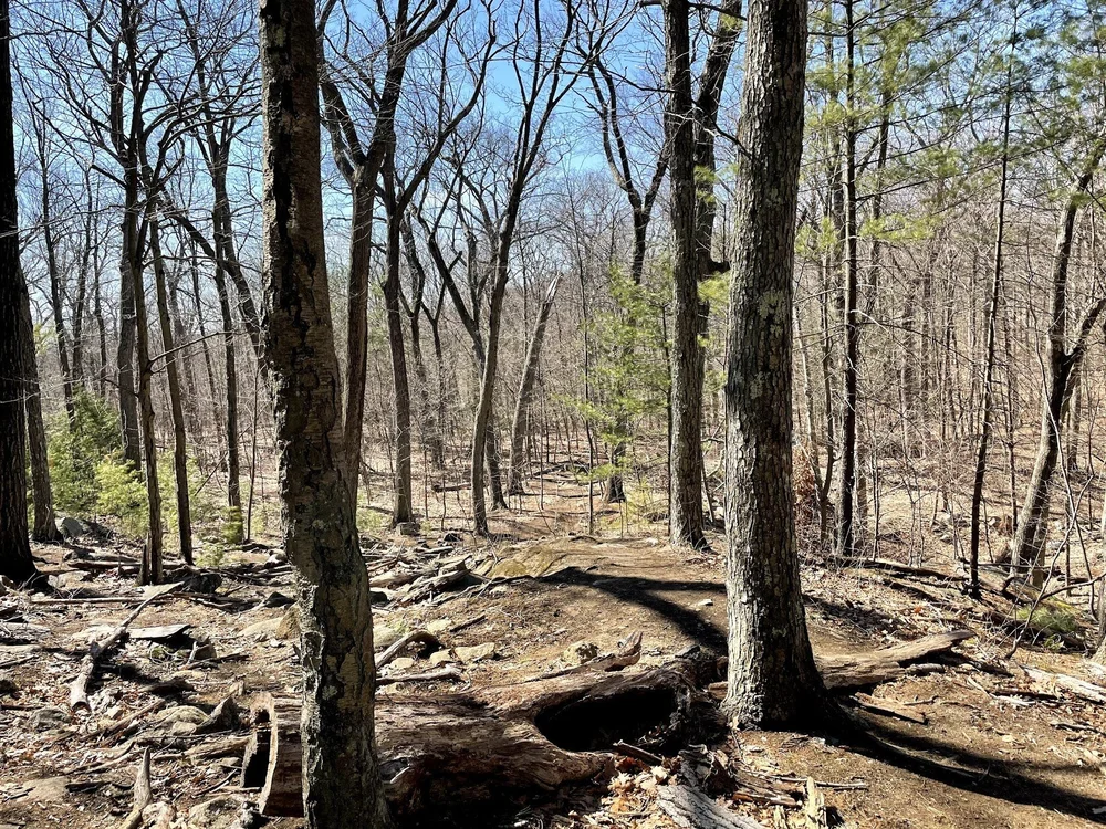  Hiking back down Wright’s Tower path. 