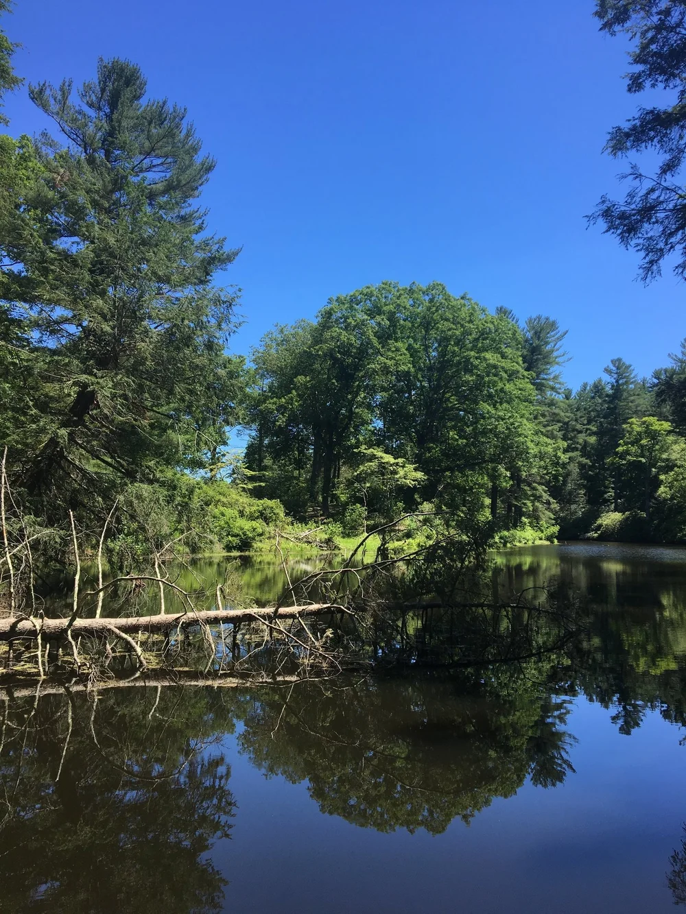maudslay-state-park-pond.jpeg
