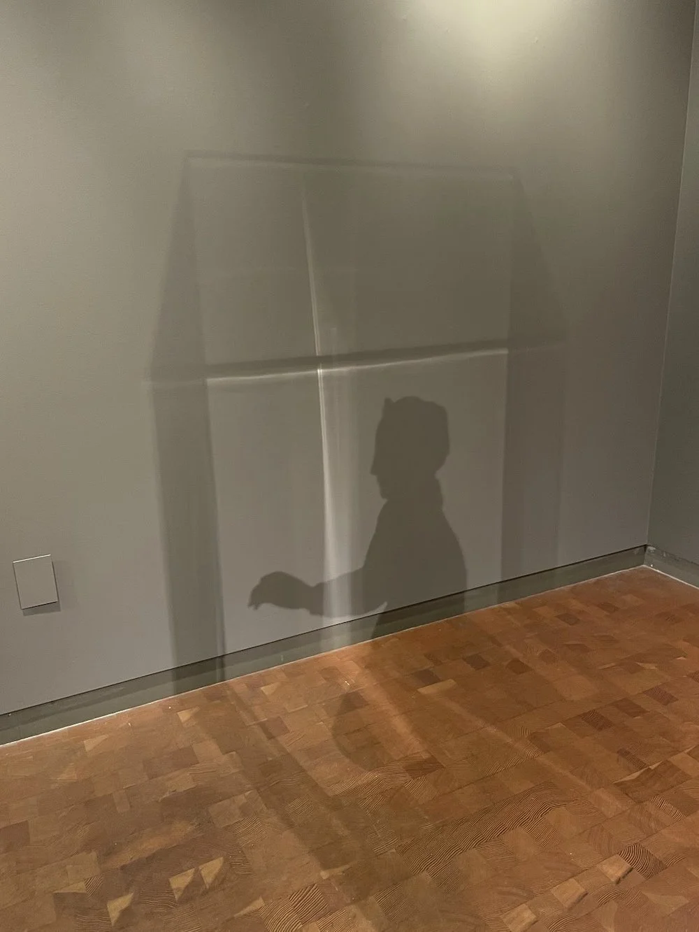 smith-college-museum-of-art-shadow.jpeg