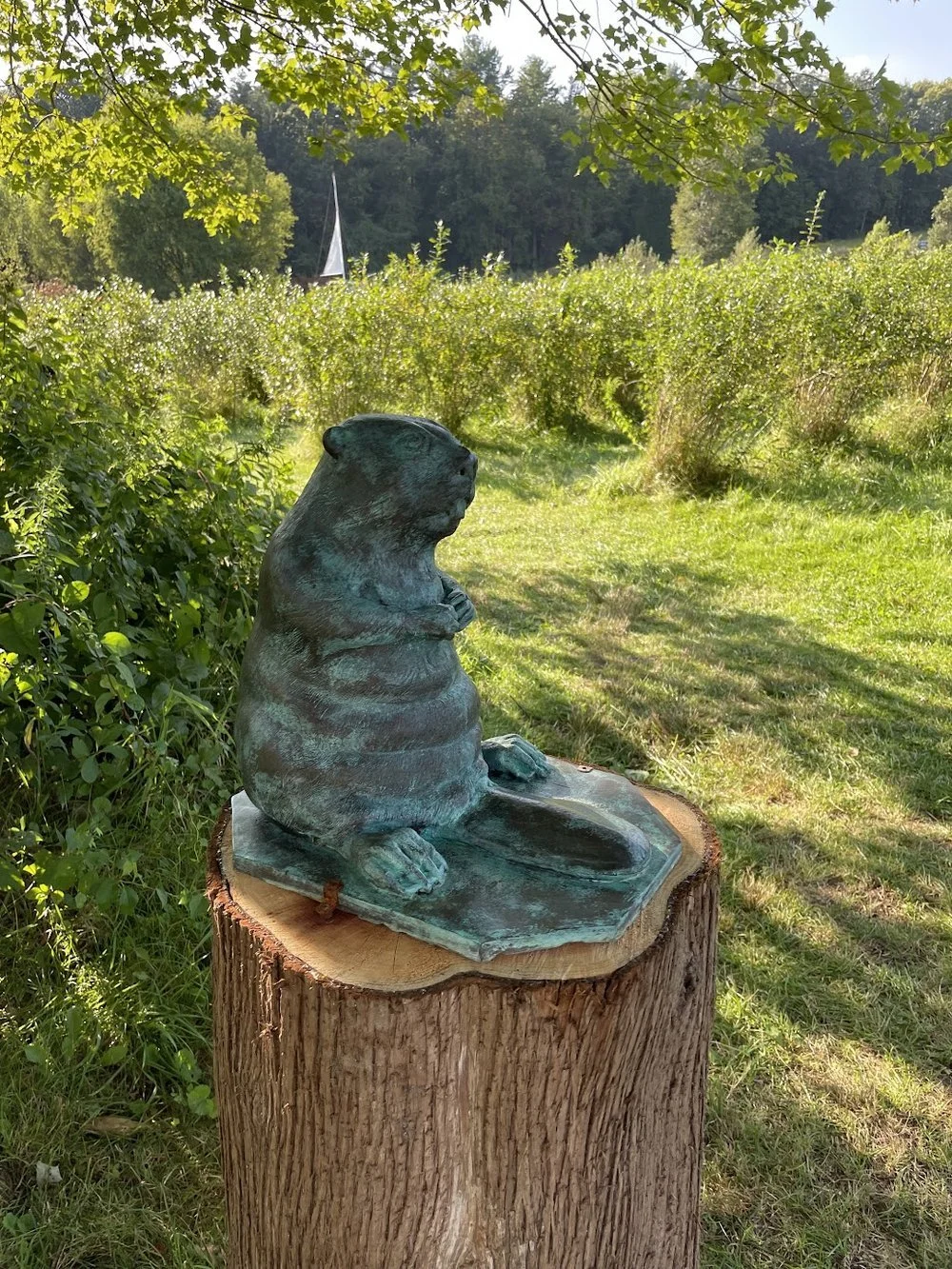 park-hill-orchard-art-beaver.jpeg