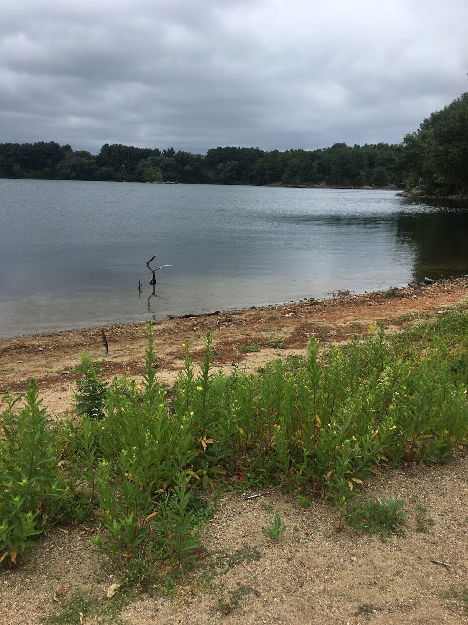Spot Pond at Middlesex Fells Reservation