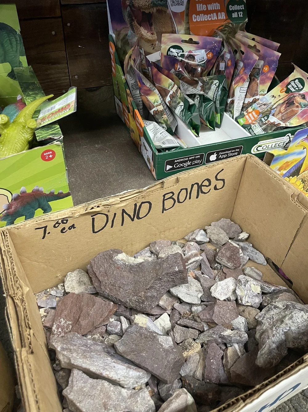 Dino bones for sale at the Rock Fossil &amp; Dinosaur Shop