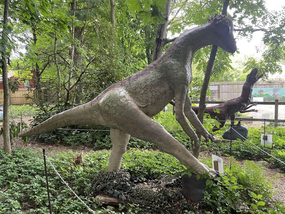 Dinosaur struttin her stuff at the Rock Fossil &amp; Dinosaur Shop