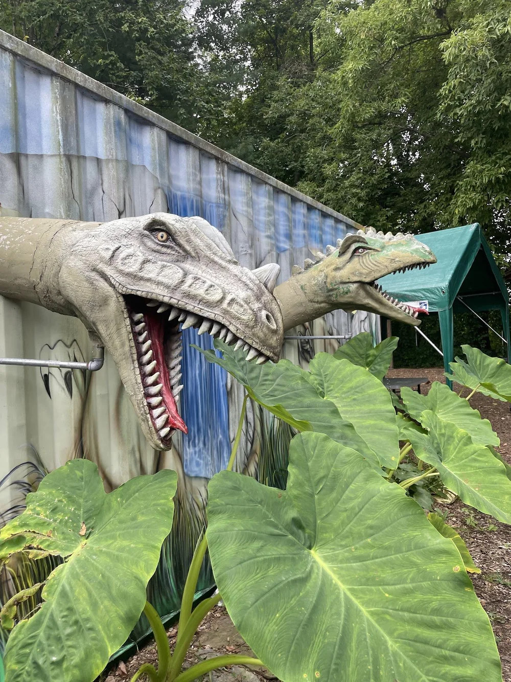 The entrance to the dinosaur forest behind the Rock Fossil &amp; Dinosaur Shop