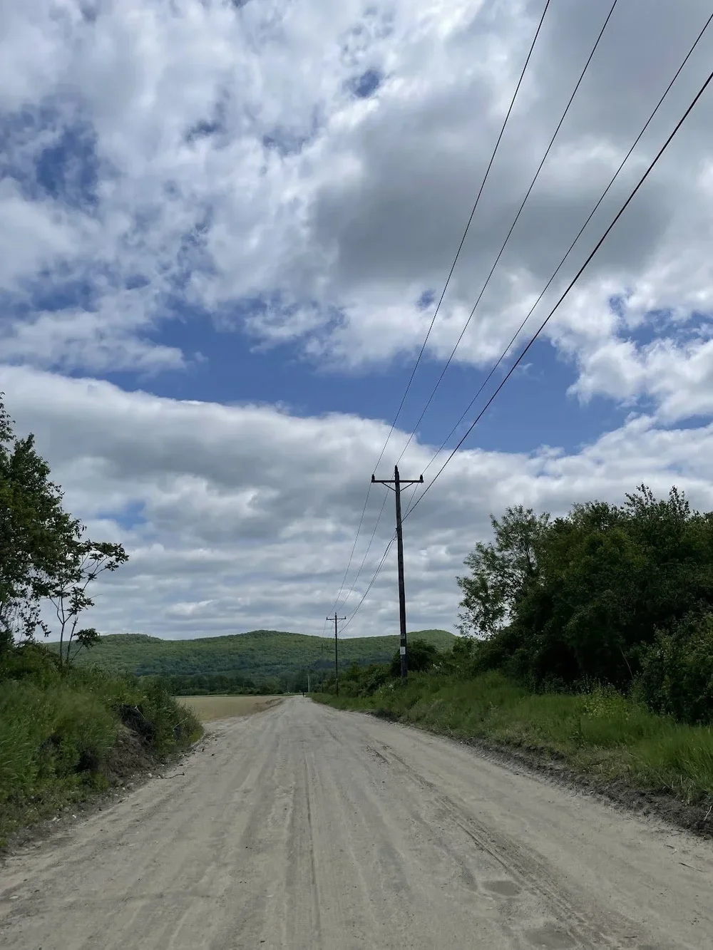 Dirt road at the Meadows Conservation Area