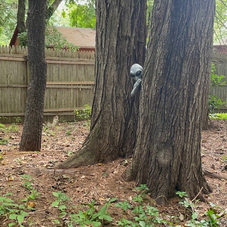 an alien peeking from behind a tree at the Rock Fossil & Dinosaur Shop