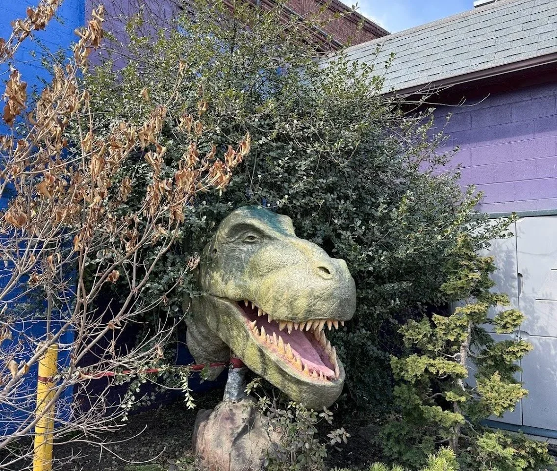T-Rex head in bushes at A2Z Northampton