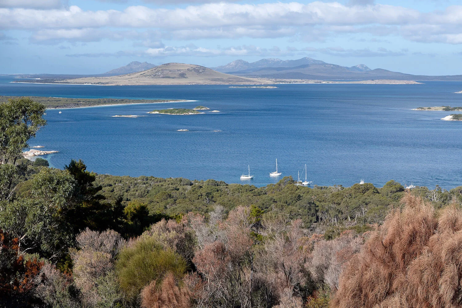Cooma House 051 BANNER.jpeg
