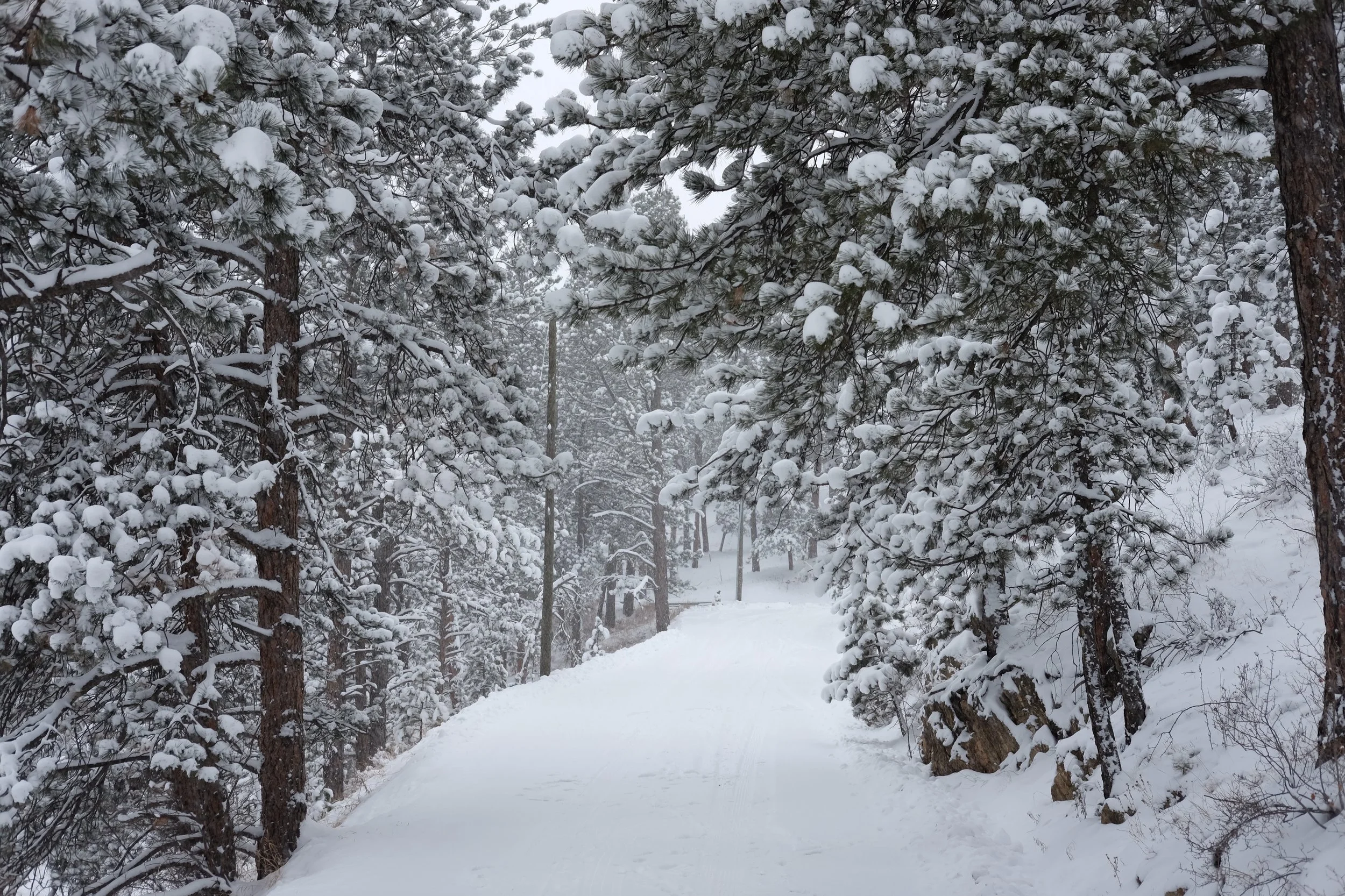 SNOWY ROAD