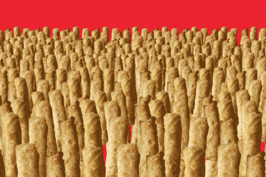 EggRollWave-15281.gif
