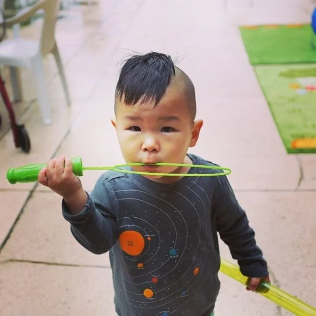 비오는 날 하누리 찰칵