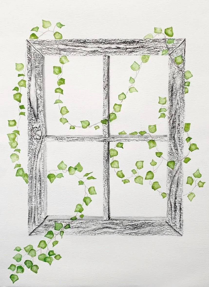    flourishing,  charcoal and water color on paper 26”X28”  