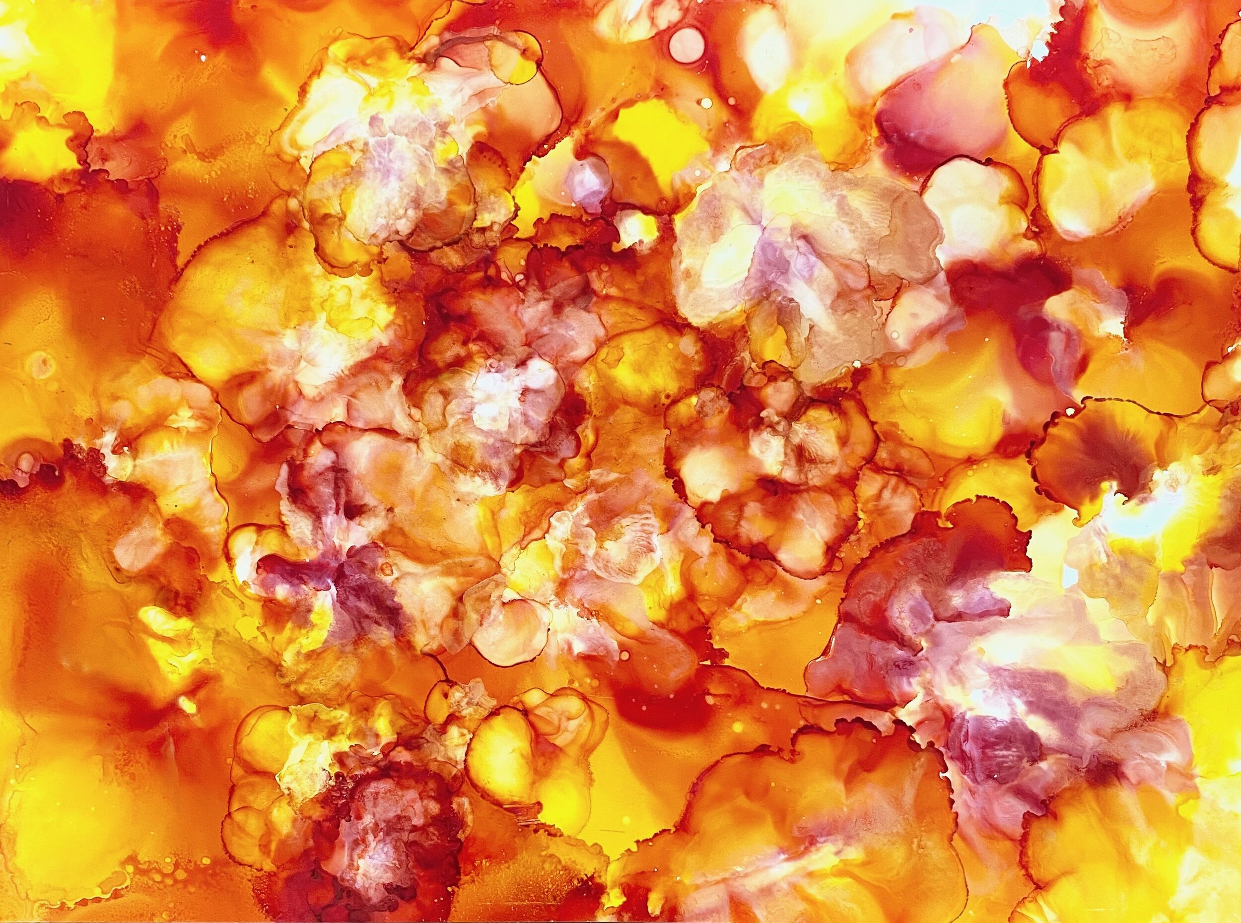   Orchid burst,  24” X 36” alcohol ink on yupo paper  