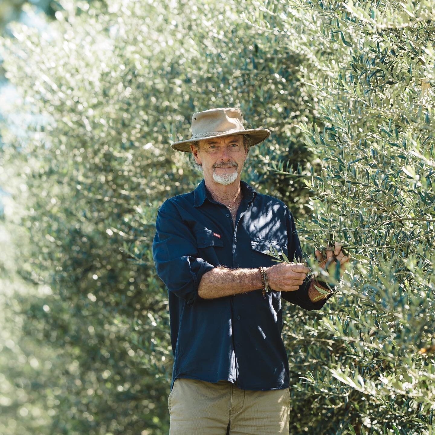 You may just picture Tim at the farmers markets but here he is at his other happy place, in the grove. 

.
#happyplace #olivetrees  #oliverlover #northernriversfood #rosebankNSW #olivegrove #byronhinterland