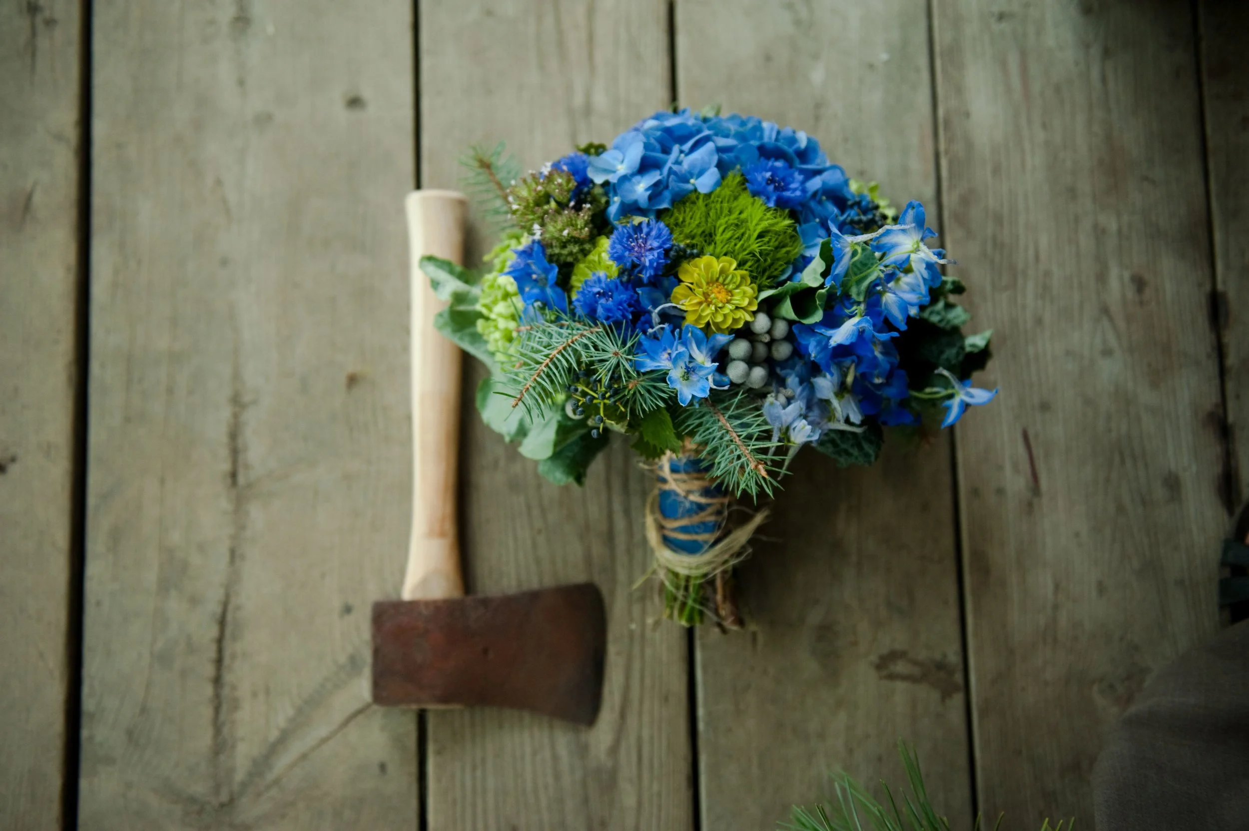 {sarah mcgee photography}