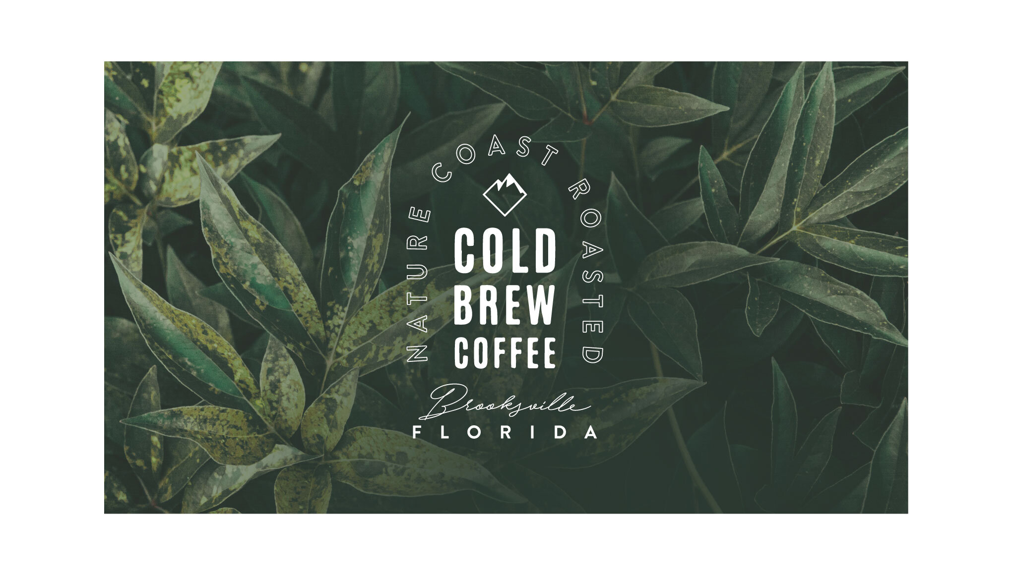 Mountaineer Cold Brew Coffee Type Treatment