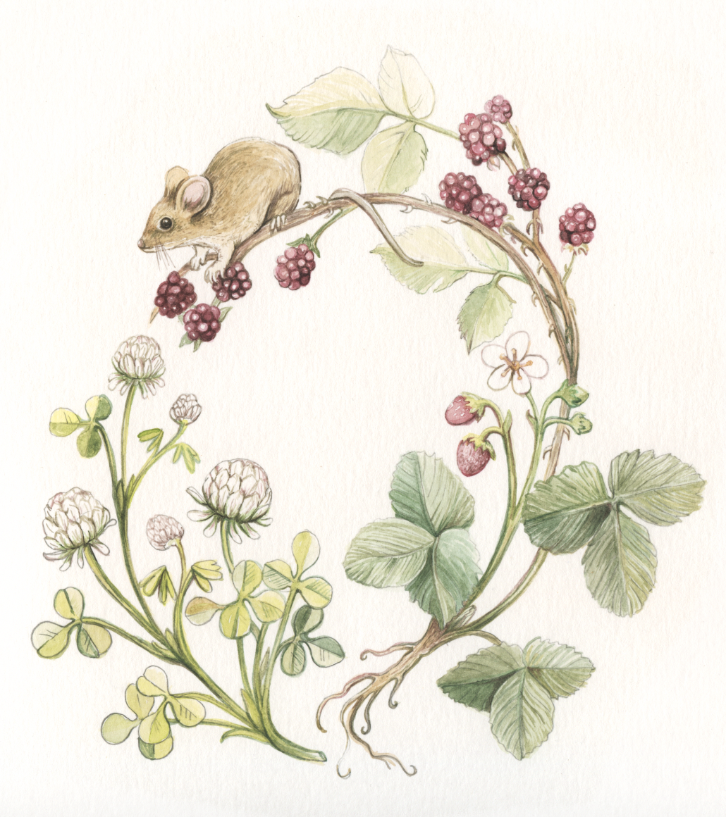 Screen Shot 2025-07-16 at 9.34.31 PM.png