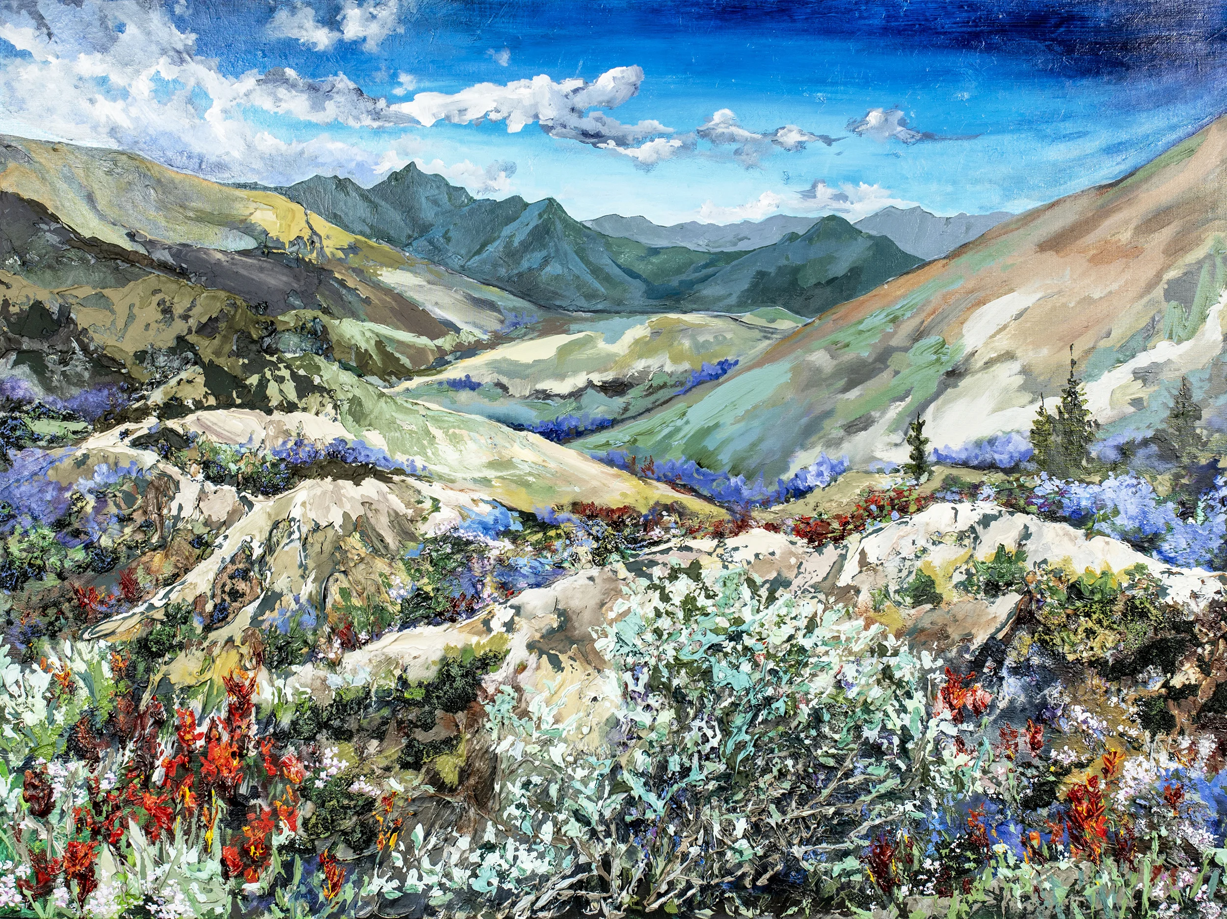 Wildflowers in the Wallowas.jpg