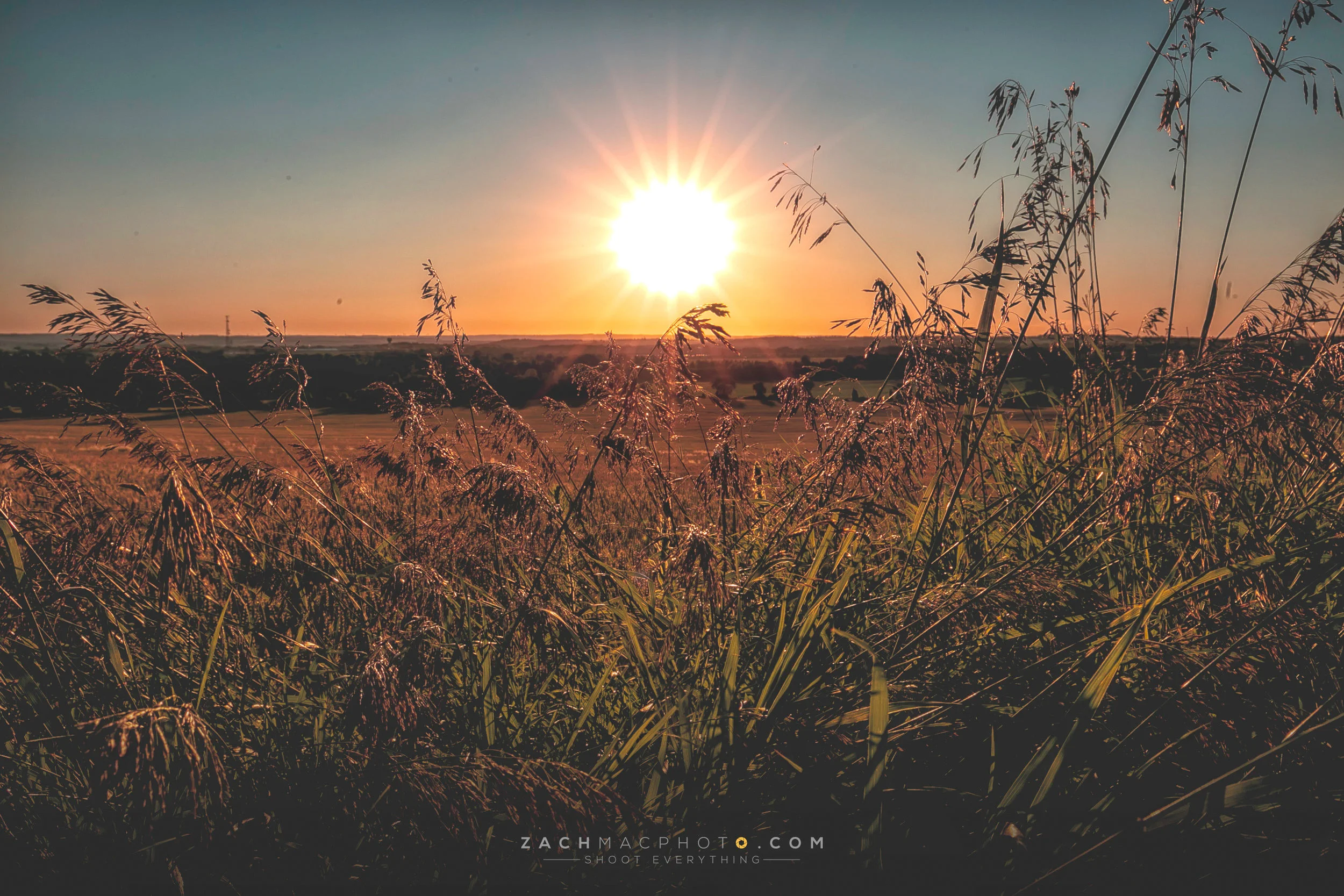 054A9047-Edit copy.jpg