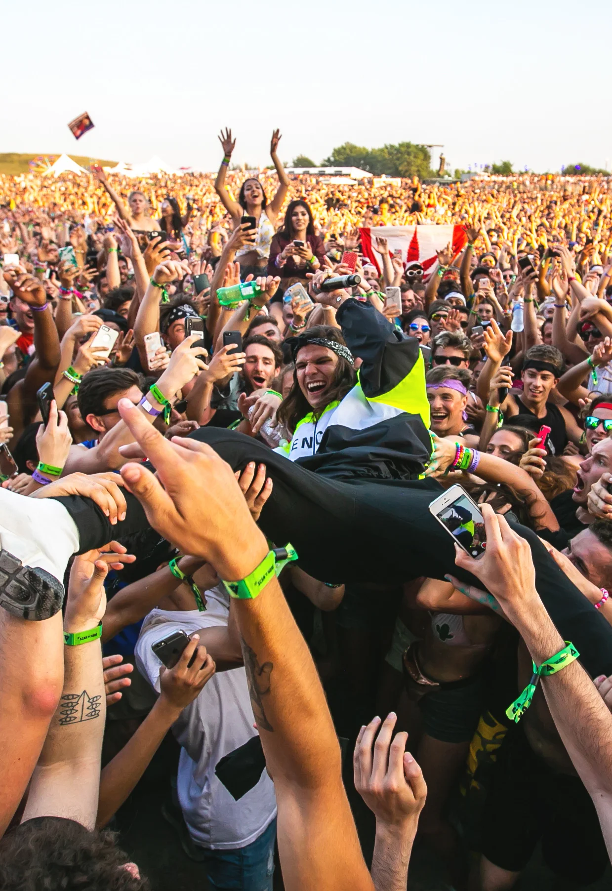 VELD 2018.jpg