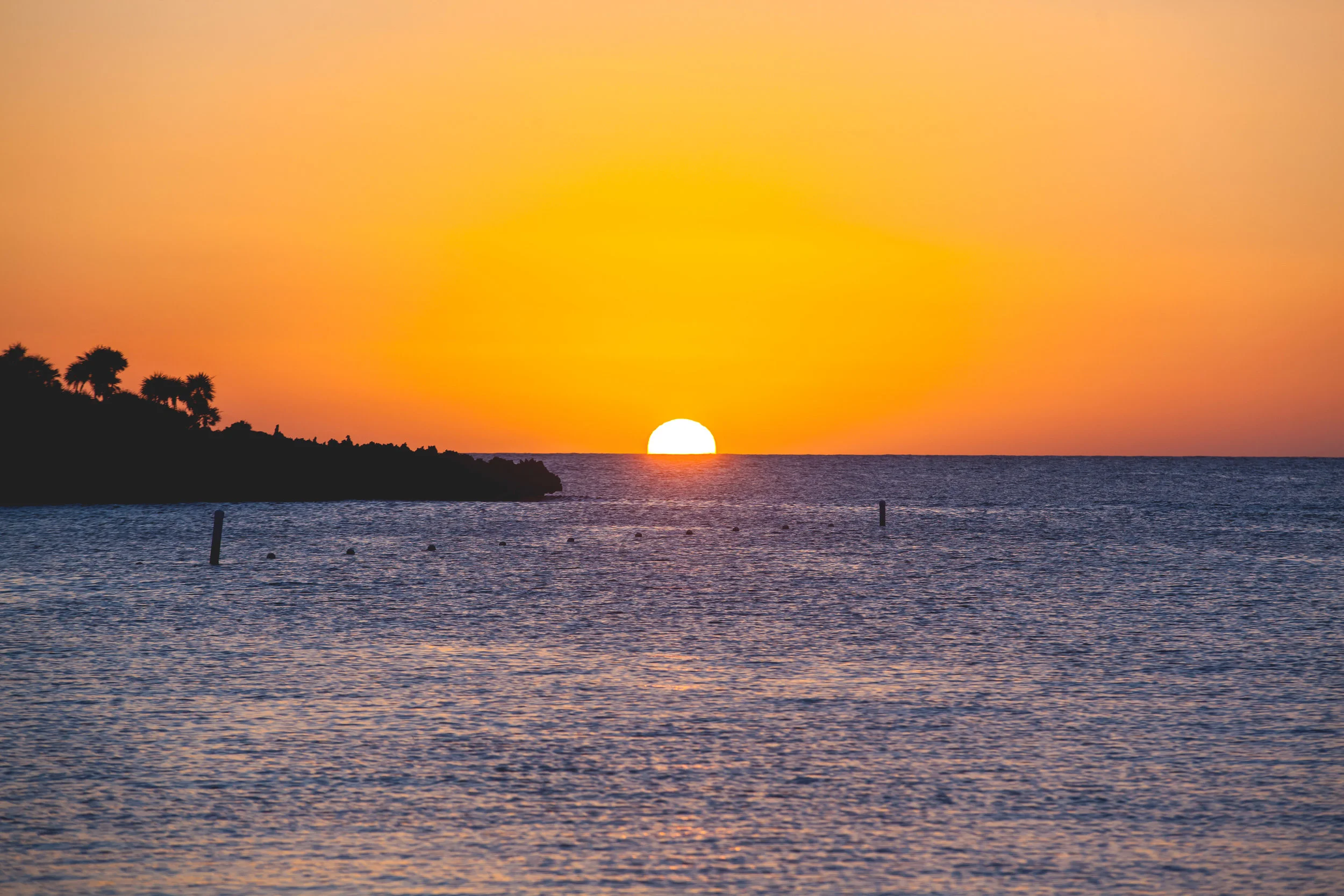 Roatan Nights