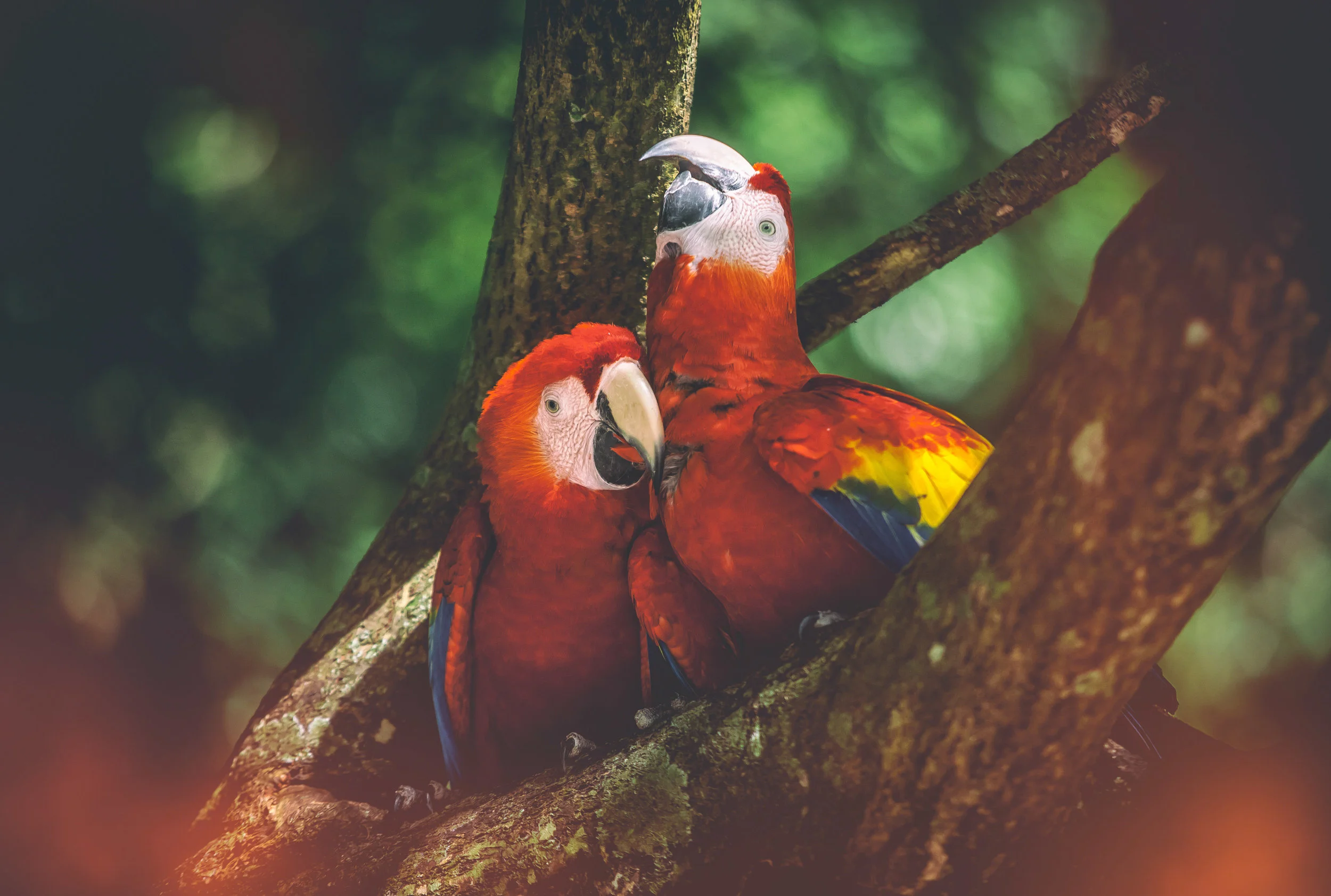 IMG_0208-Edit.jpg