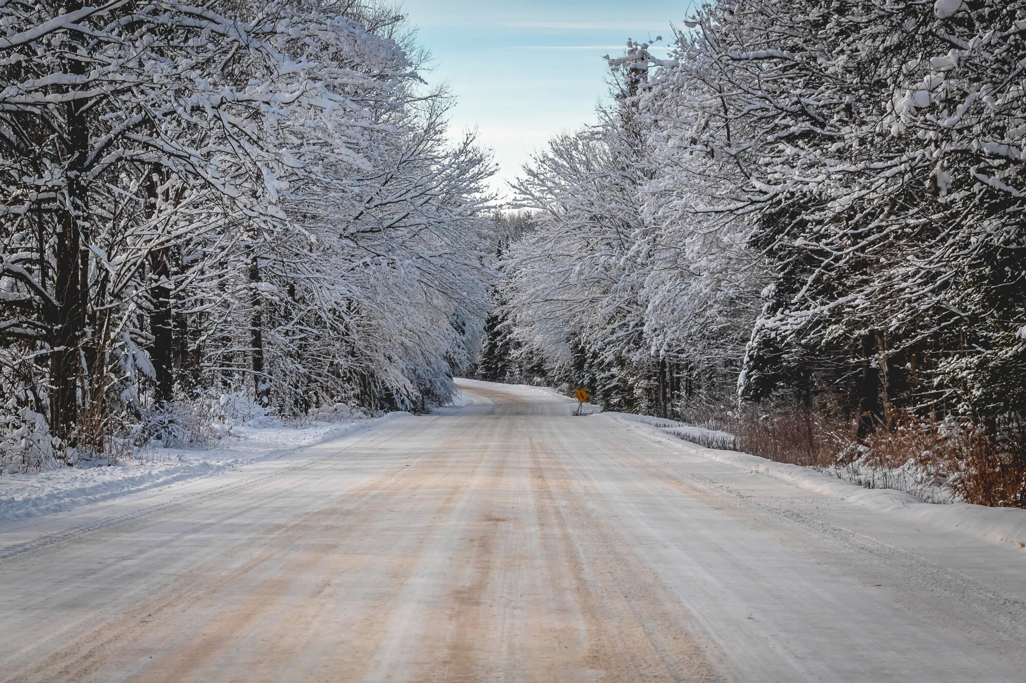 December 2019 Web 2000px-21.jpg