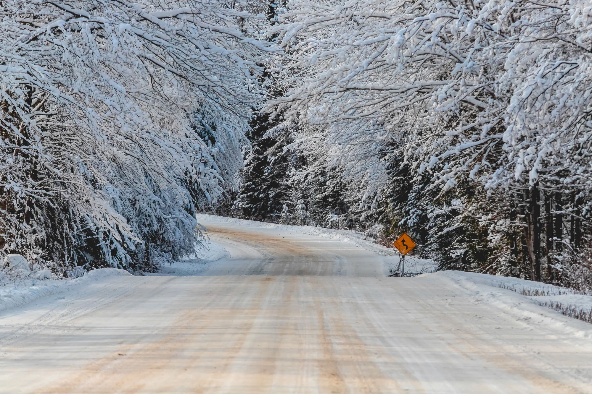 December 2019 Web 2000px-22.jpg