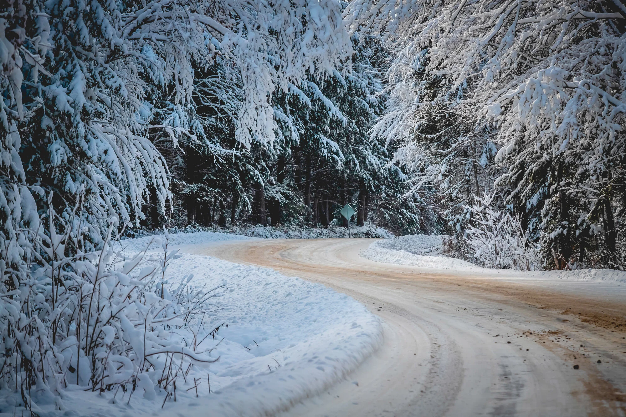 December 2019 Web 2000px-23.jpg