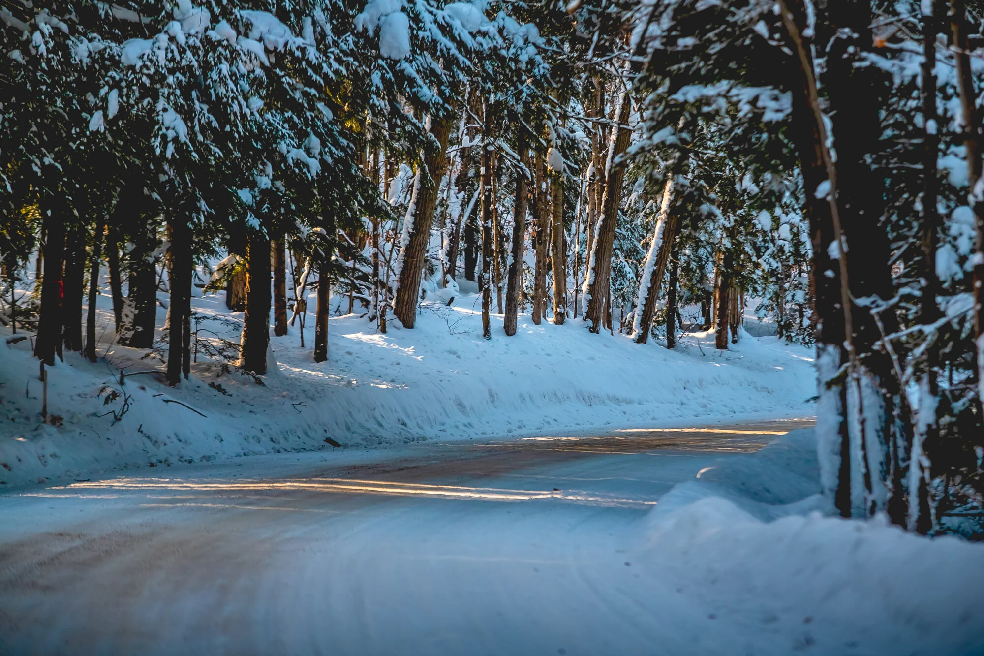 December 2019 Web 2000px-25.jpg