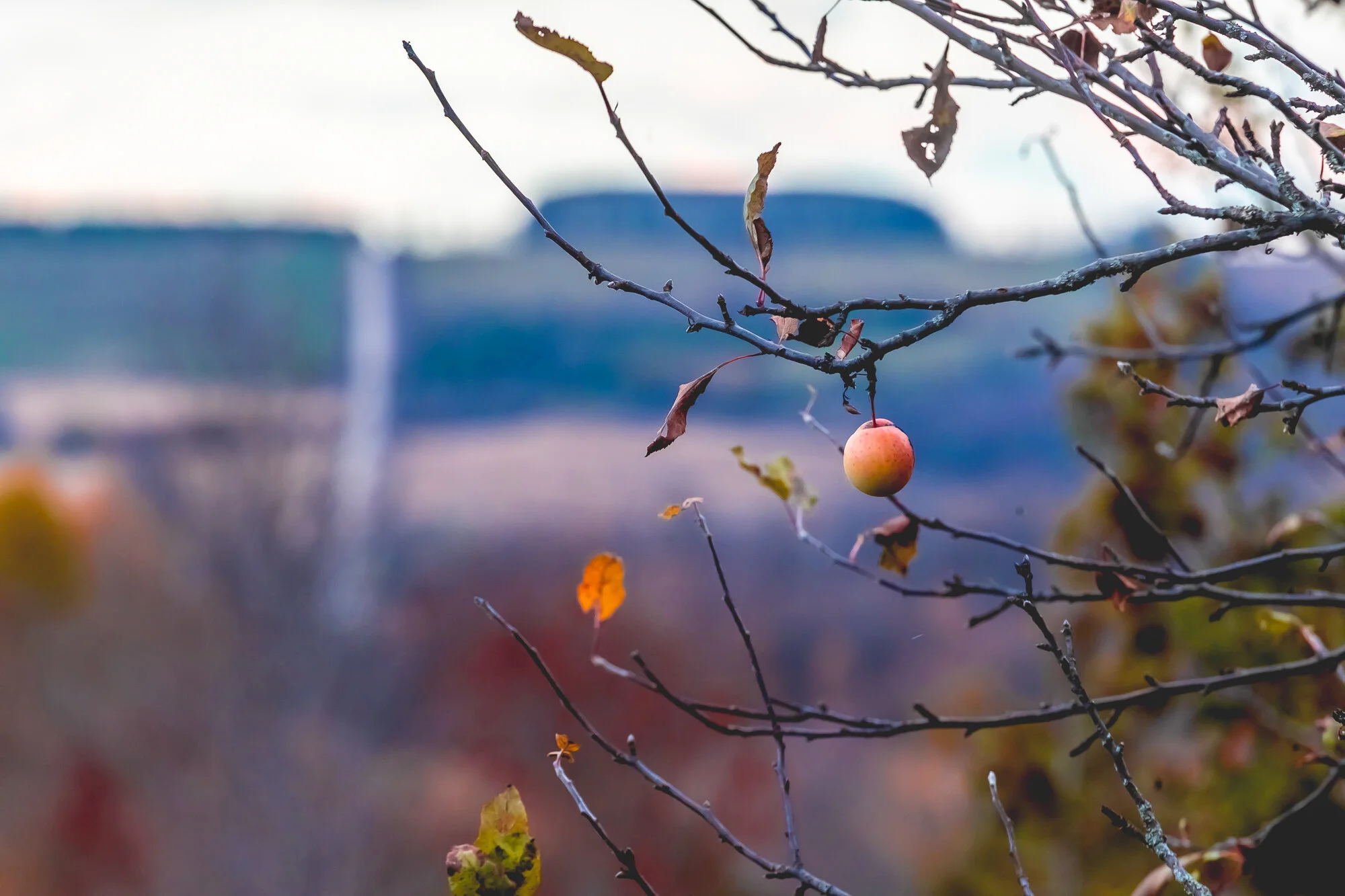 November 2019 -9.jpg