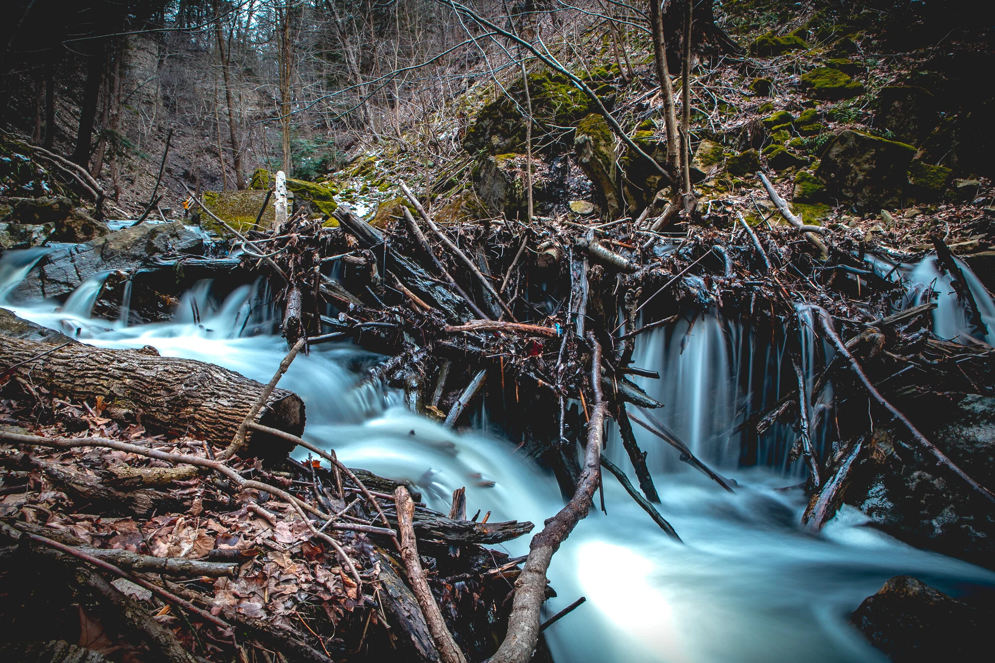 Hamilton Ontario - Web 2000px-6.jpg