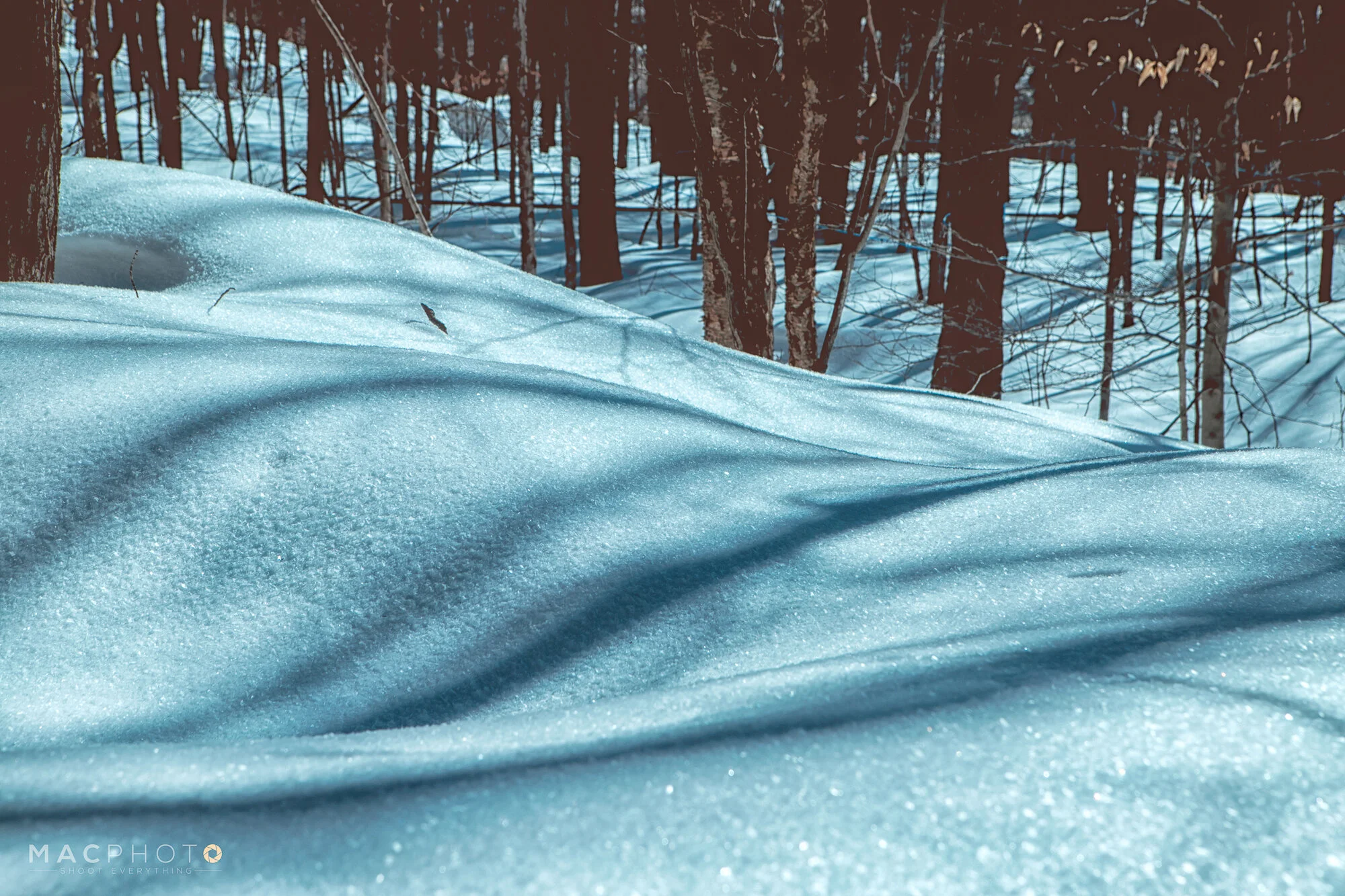 ZacMac_March2019-9.jpg