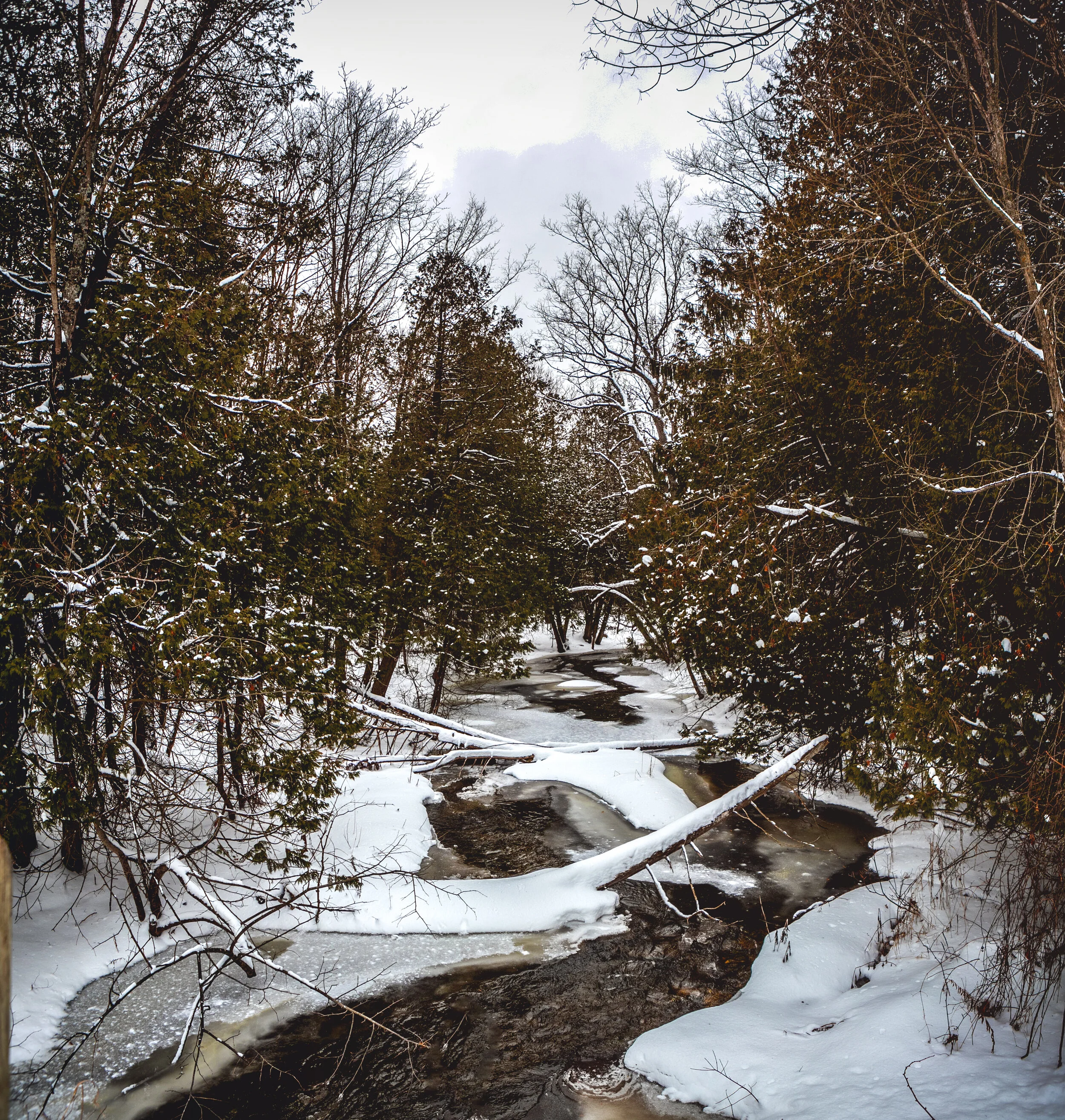 IMG_6331-Pano.jpg
